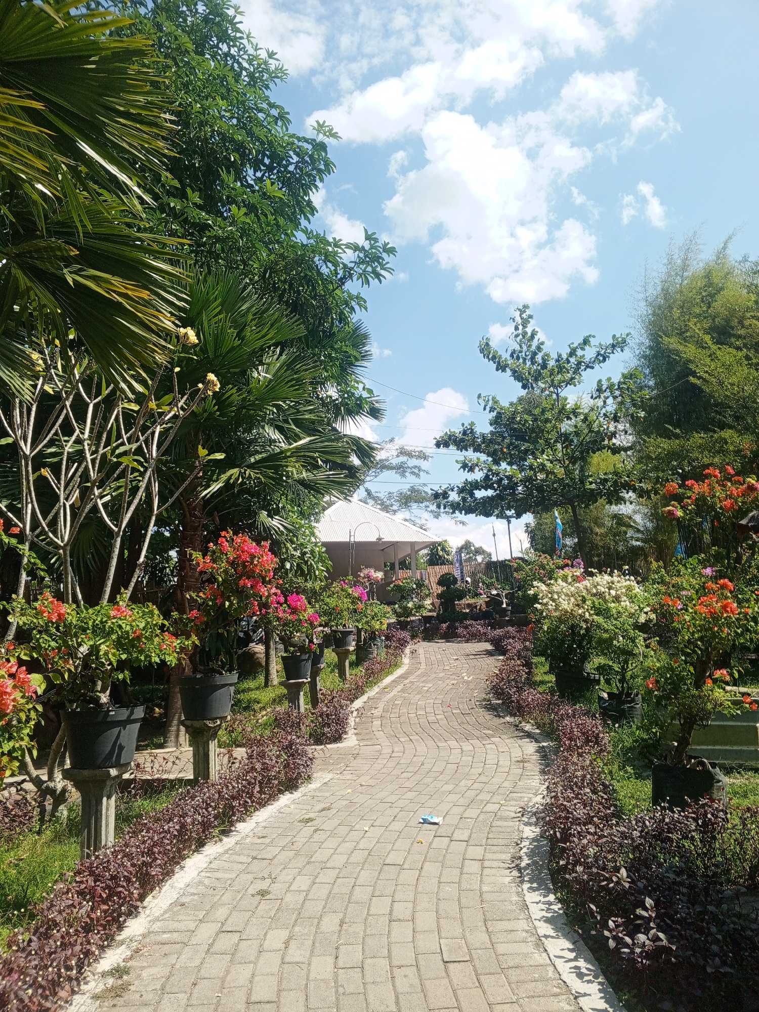 The image depicts a paved pathway winding through a lush garden. Palm trees and other foliage frame the pathway, with potted flowering plants lining its edges. In the background, a white tent structure is visible, suggesting an outdoor event or venue. The sky above is a clear blue with scattered white clouds. The scene appears to be a well-maintained garden, possibly part of a public space or a private residence. There are no people or animals visible in the image. The location is identified as Darsono, Indonesia.