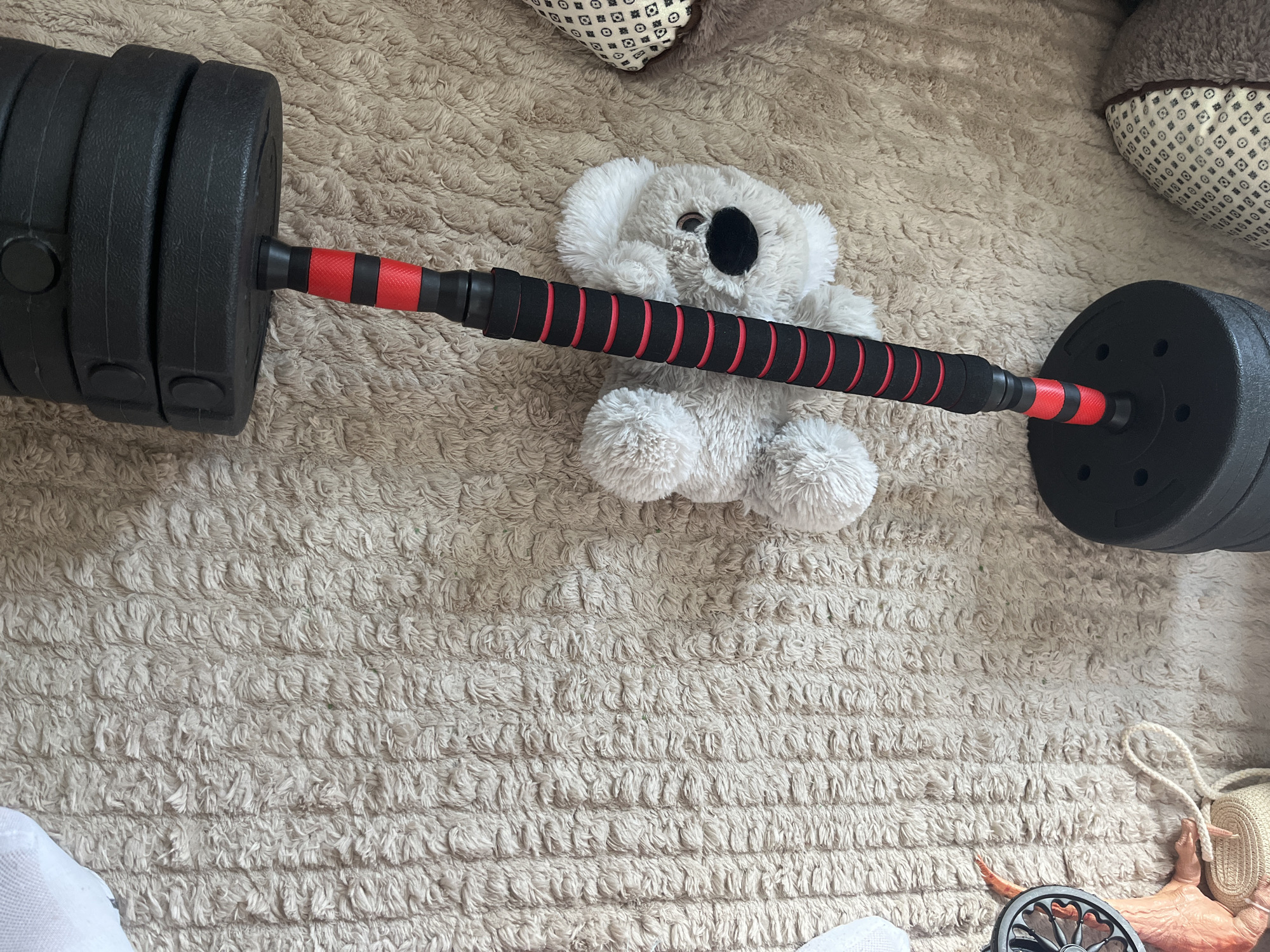 A still, high-angle shot reveals a barbell lying horizontally on a textured, beige rug. The barbell, featuring black weights on either end, has a red and black gripped handle running through the center, upon which a fluffy, white koala toy rests. Surrounding the scene are glimpses of patterned pillows at the top and a few miscellaneous items near the bottom, including what appears to be part of a white sock, a partial view of a black wheel, and a beige-colored item, possibly a bag, next to a small, orange dinosaur figurine. The exact location and city are not discernible from the visual information provided.