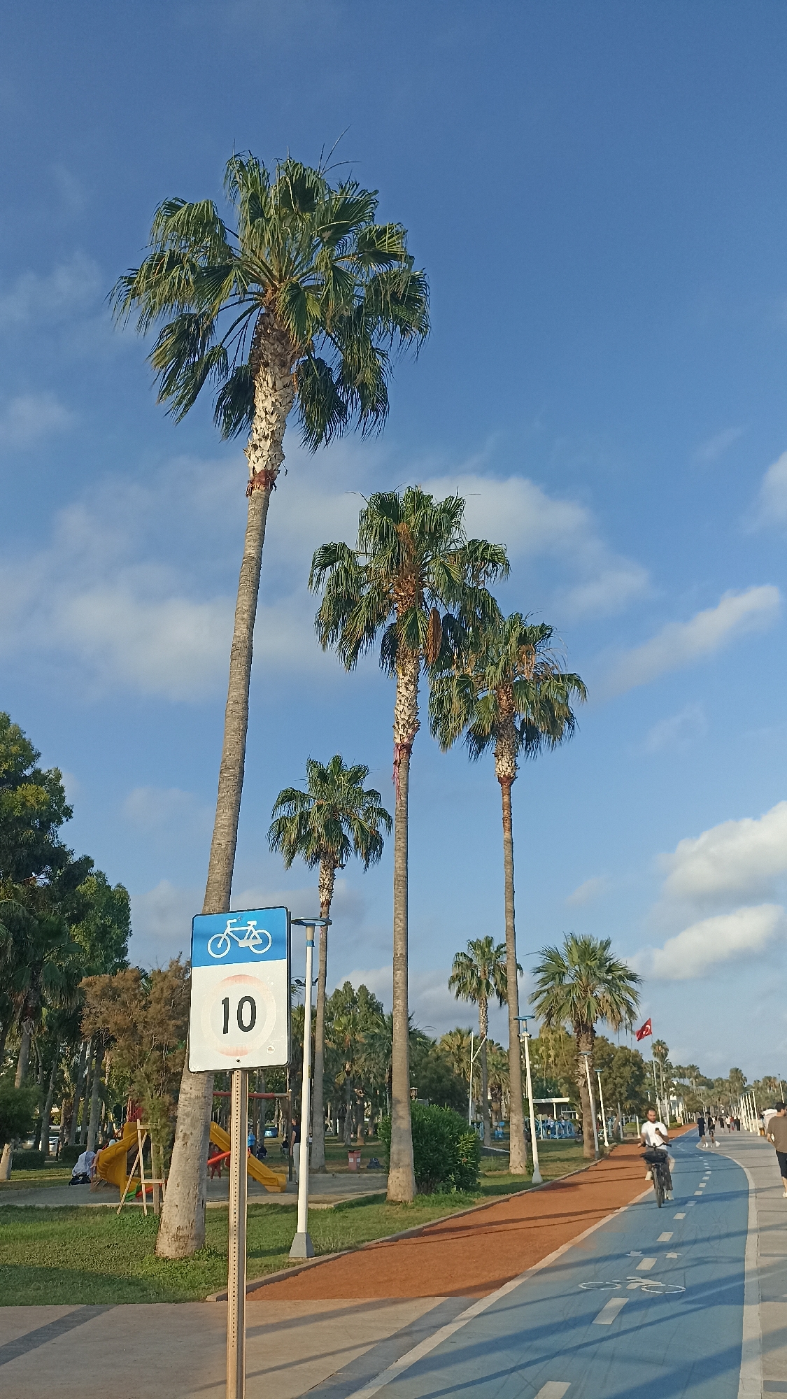 The image depicts a sunny day in a park area with palm trees and a dedicated bike path. In the foreground, a blue sign with a white bicycle symbol and the number "10" in a white circle indicates a speed limit for cyclists. The bike path, which is blue with white markings and an orange border, stretches into the distance.
Several palm trees are prominent subjects, with lush green fronds reaching towards a bright blue sky dotted with white clouds. In the background, a playground with a yellow slide is visible, with a few people sitting nearby. Further down the path, several people are cycling and walking, enjoying the recreational space. A Turkish flag flies in the distance, suggesting the location is in Turkey, likely Yenişehir. The lighting indicates it's likely late afternoon, with the sun casting long shadows. The overall mood is peaceful and leisurely, conveying a sense of outdoor recreation and a pleasant day.