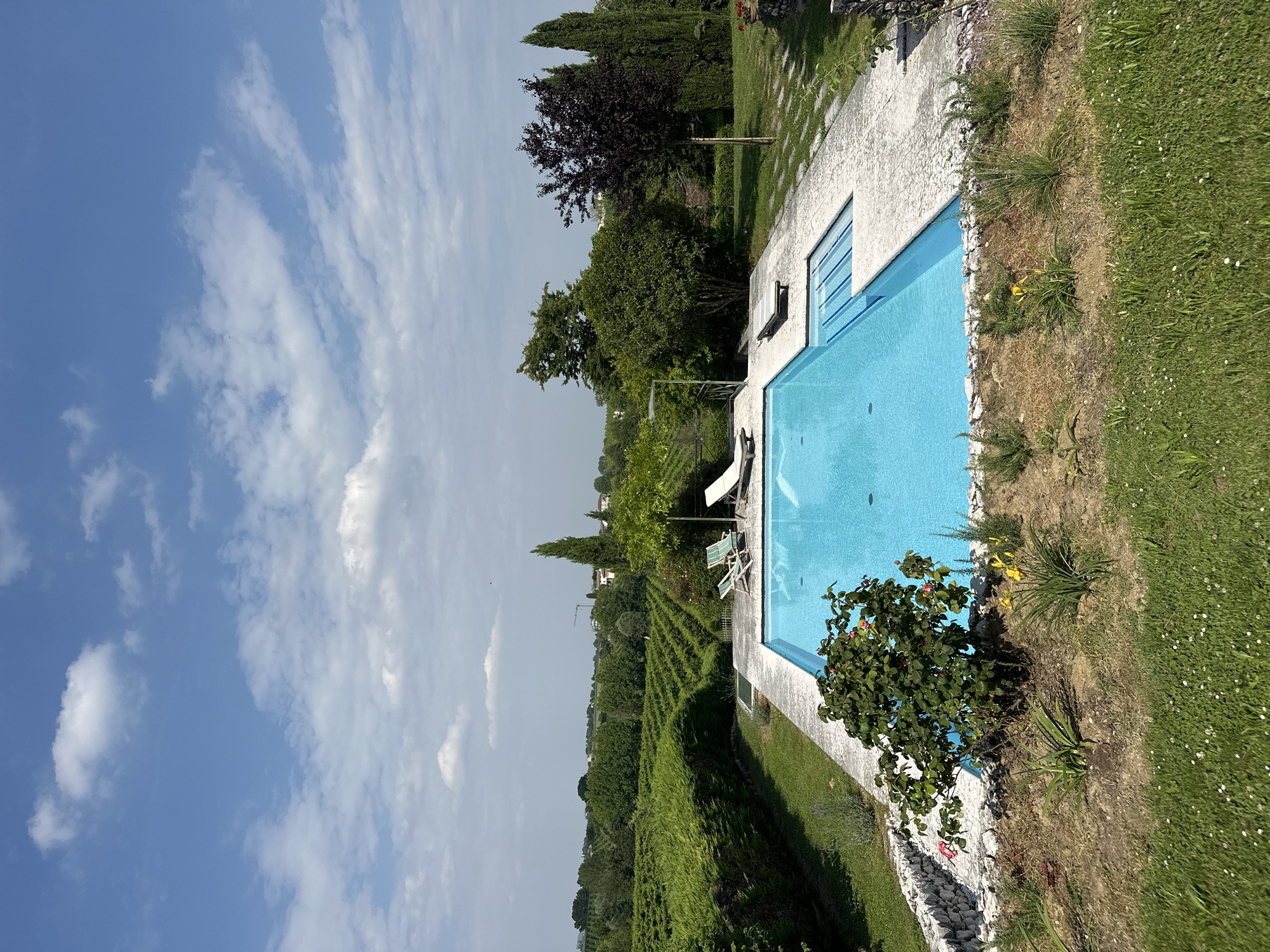This is a full, exterior, eye-level, natural light, vertical shot of a swimming pool and its surroundings, likely located in Conegliano, Italy. The pool is rectangular with bright blue water and is surrounded by a light-colored stone deck. A set of steps descends into the shallow end of the pool, also tiled in blue. There are two lounge chairs on the deck near the pool, one with a green and white striped cushion and another lighter colored one. A third lounge chair is placed in the shallow steps area.
The pool area is bordered by a low wall constructed of rough, white stones and a strip of garden with various plants, including a rose bush with red blooms and yellow lilies. Beyond the pool, a well-maintained lawn stretches towards a hedge, which then gives way to rows of vineyards. In the background, there are numerous trees of varying heights and types, including tall, slender cypress trees and a dark-leaved tree. Some distant buildings and structures can be seen peeking through the greenery. The sky above is a clear blue, dotted with fluffy white clouds.