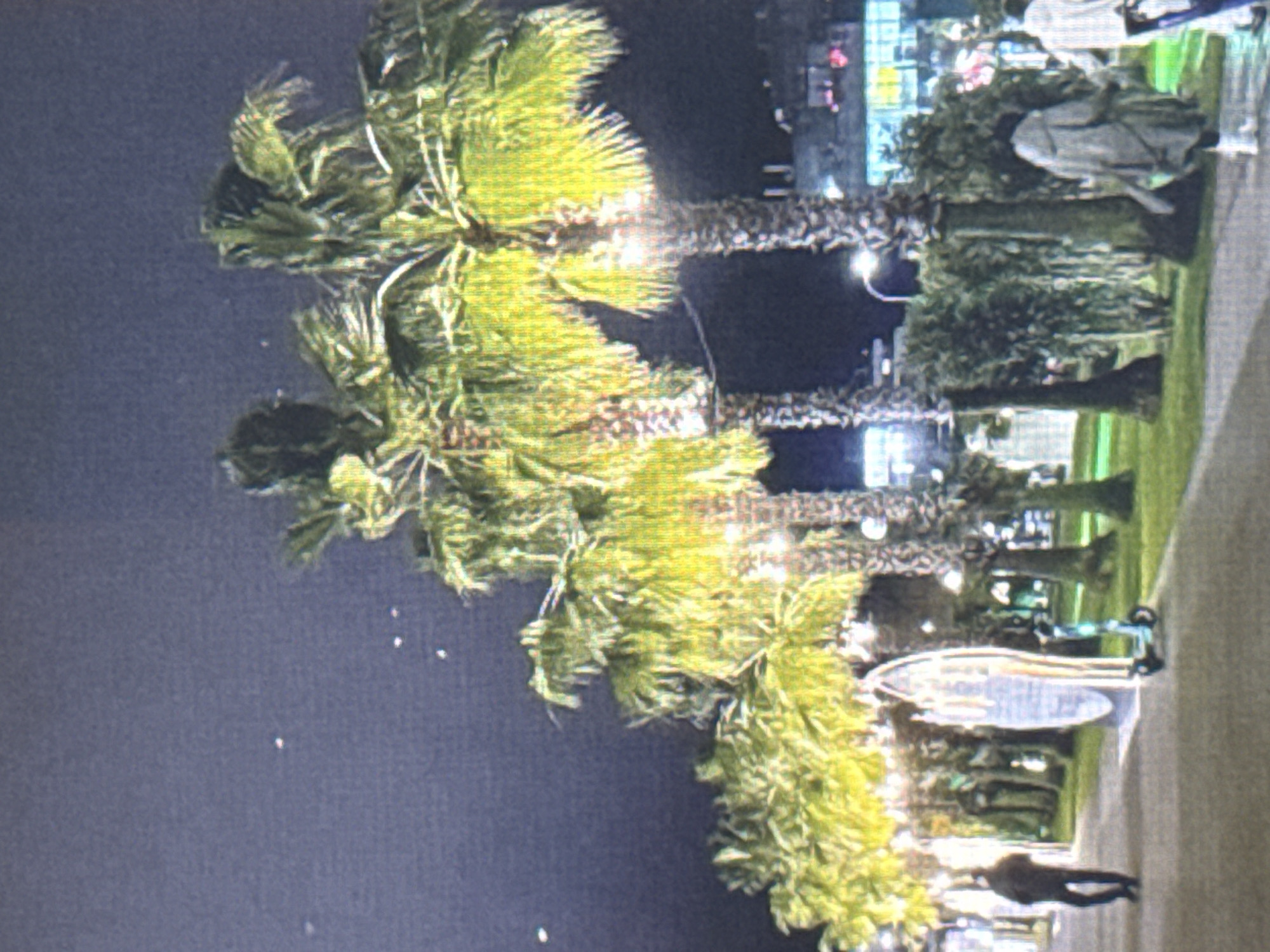 In an outdoor urban setting at night, a paved walkway is lined with palm trees that are illuminated with bright lights, casting a yellow-green glow. The sky is dark and speckled with faint white dots, possibly distant lights or stars. A man in a dark jacket and pants walks along the left side of the walkway. Further down the path, a decorative, illuminated structure stands vertically, and next to it, an electric scooter is parked. Behind the palm trees and scooter, there are bushes and buildings with illuminated windows. To the right of the frame, two figures are walking away from the camera, one wearing a light-colored hooded jacket and white shoes, and the other in a white striped shirt. The scene appears to be a promenade or public area decorated for an evening event.