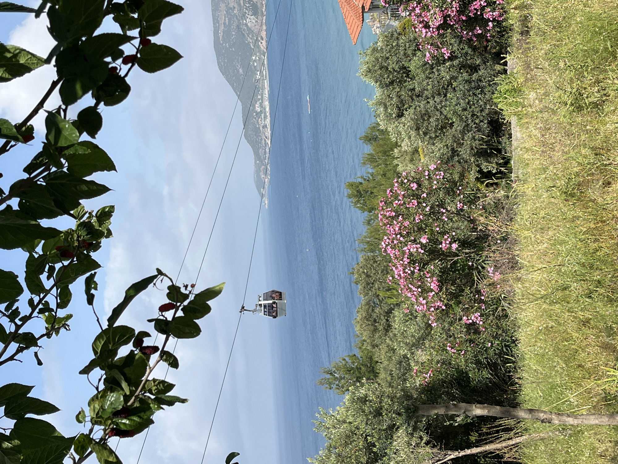 The scene depicts a cable car ascending or descending over a body of water, possibly the Mediterranean Sea, with a coastal landscape in the background. The location is likely in or near Alanya, Turkey, suggested by the general Mediterranean landscape and the presence of a cable car, which is known to operate in Alanya.
Foreground elements include green foliage and branches, partially obscuring the view. The cable car, carrying several passengers, is suspended in mid-air by cables. The body of water dominates the scene, stretching towards the distant coastline. The coastline features a mountainous terrain with some signs of urbanization or buildings. The sky is partly visible, with clear patches interspersed with clouds. Vegetation is also visible on the right of the image.