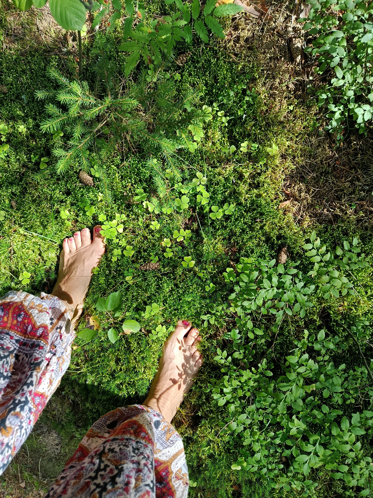 The image depicts a close-up, overhead view of a person's bare feet standing on a mossy forest floor. The ground is covered in lush green moss, interspersed with small, clover-like plants and some pine needles. A young evergreen sapling is visible in the upper left quadrant. The person is wearing brightly patterned, loose-fitting pants. The feet are tanned, with painted red toenails, and are positioned to the left and bottom of the frame. Sunlight filters through the trees, casting dappled shadows on the ground and the person's feet. The overall impression is one of natural serenity and connection with the outdoors. The location is identified as Pashnevo, Russia.