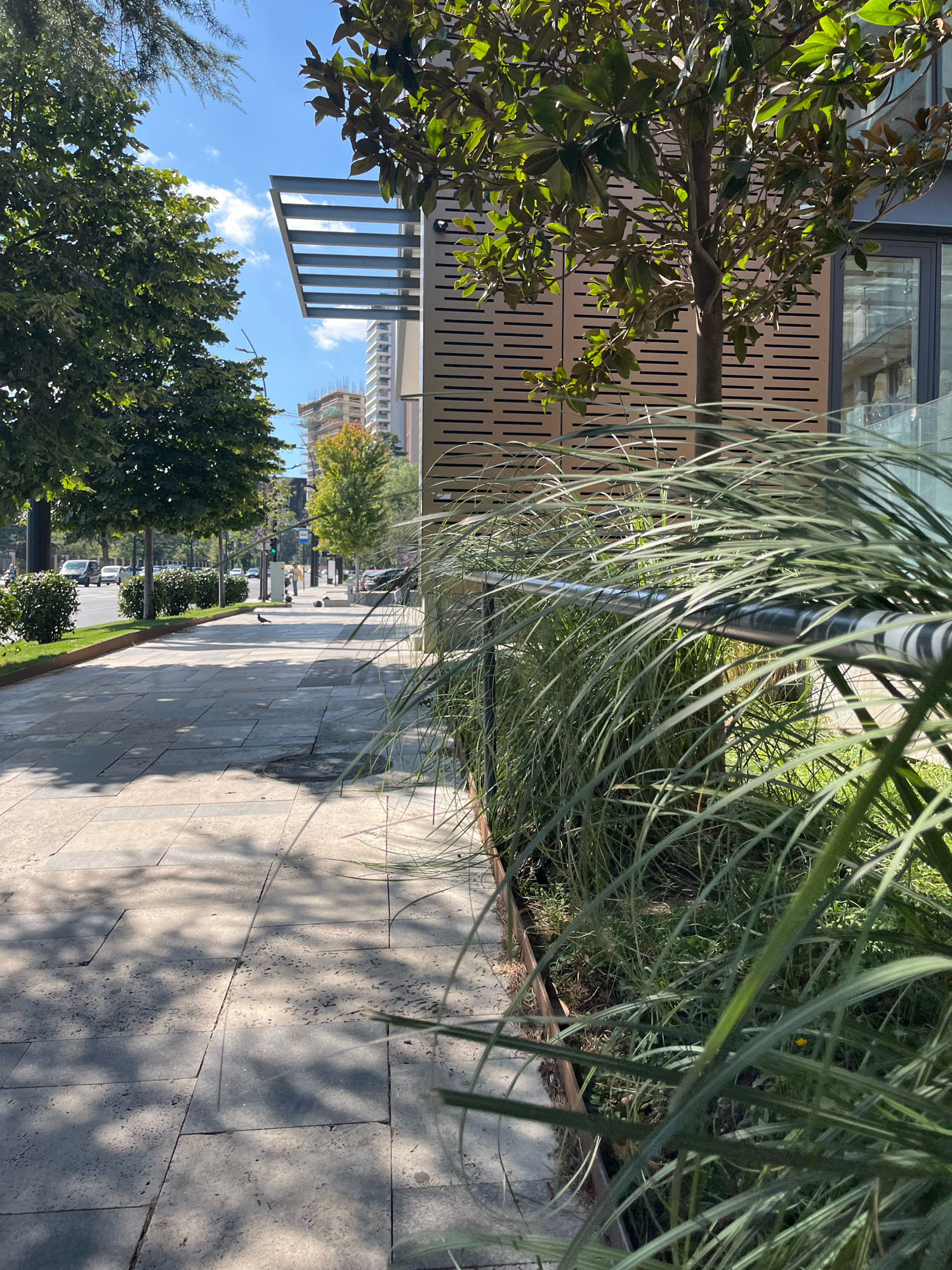 This is an eye-level, medium shot taken on a sunny day, looking down a paved sidewalk in Tbilisi, Georgia. A modern building with a metallic facade and a slatted overhang is on the right, with a tree in front of it. Lush green grass and ornamental plants line the sidewalk. A black metal railing runs along the edge of the planted area. The sidewalk is made of light-colored stone slabs, with dappled shadows from overhead trees. In the distance, a tree-lined street with traffic is visible. A black bird is walking on the sidewalk, and there are several other birds scattered further down. A few people can be seen walking in the distance. The sky is bright blue with scattered white clouds.
