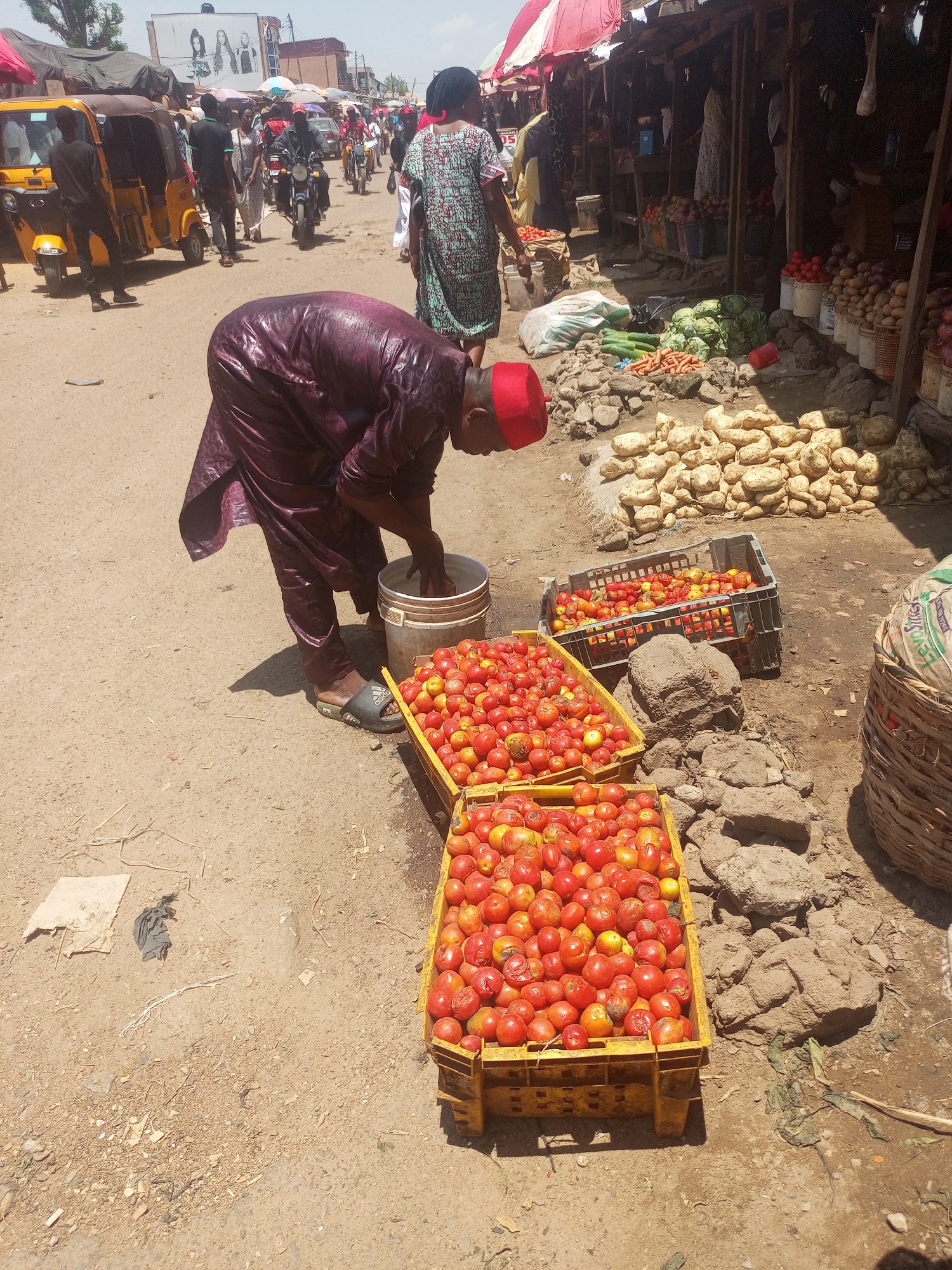 In Sabon Tasha, Nigeria, a man in a maroon robe and red cap washes tomatoes in a bucket, his hands immersed in the water. The tomatoes are contained in three crates: two yellow and one grey. Additional unwashed tomatoes rest in a wicker basket. A pile of unidentified produce, possibly yams, sits nearby. Behind the tomato seller are a line of ramshackle stalls filled with various goods, including carrots, onions, and potatoes. The street scene includes pedestrians, a motor vehicle, and motorcycles. A billboard is visible in the background.