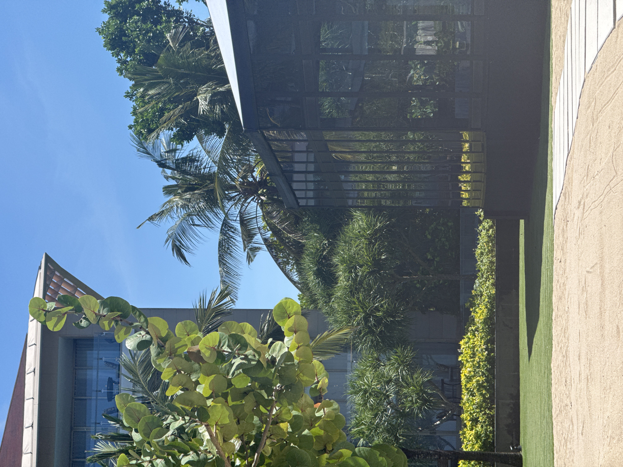 The image shows a building with a partially visible exterior. The building has a modern design with large windows, and there appears to be a balcony structure. Lush green foliage surrounds the building, including palm trees and other tropical plants. The sky is bright blue, suggesting a sunny day. Adjacent to the building, there is a strip of green grass and a sandy area. The angle of the shot suggests the photo was taken from ground level, looking upwards towards the building and sky. The location is likely a tropical or subtropical urban area given the presence of palm trees and the architectural style of the building.