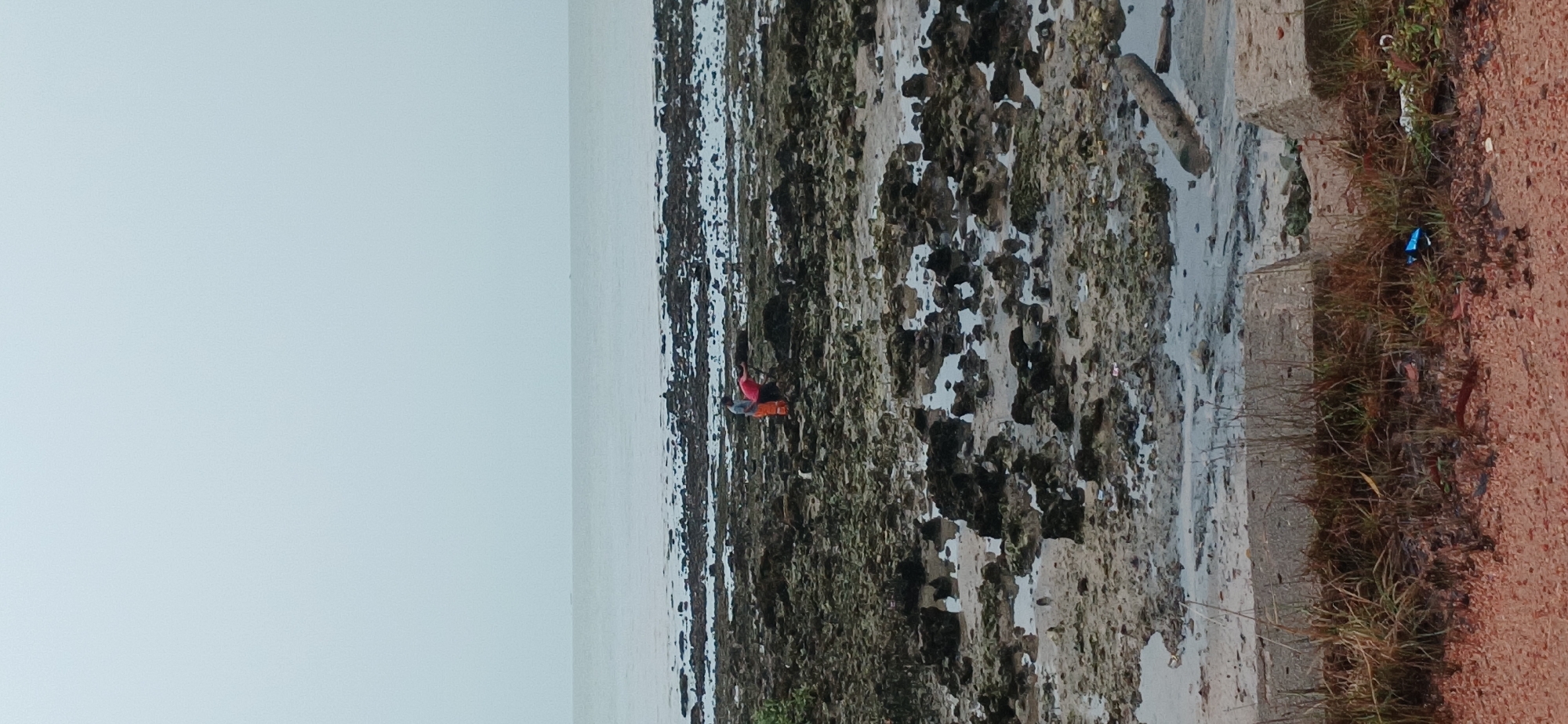 The image depicts a rocky, muddy shoreline near Tanjung Balai Karimun, Indonesia. The tide is out, exposing a rugged terrain of dark rocks and tidal pools. In the middle ground, two individuals are engaged in activity on the shore. One, wearing orange trousers and a red top, is bent over, seemingly searching or collecting something among the rocks. Another person, wearing a blue shirt and orange trousers, stands nearby, looking towards the water or the other person. The sky is overcast and a pale gray, with a calm sea stretching to the horizon. In the foreground, dry grass and reddish-brown earth are visible, with some debris scattered on the ground, including a blue plastic wrapper. The overall impression is of a utilitarian coastal environment during low tide.