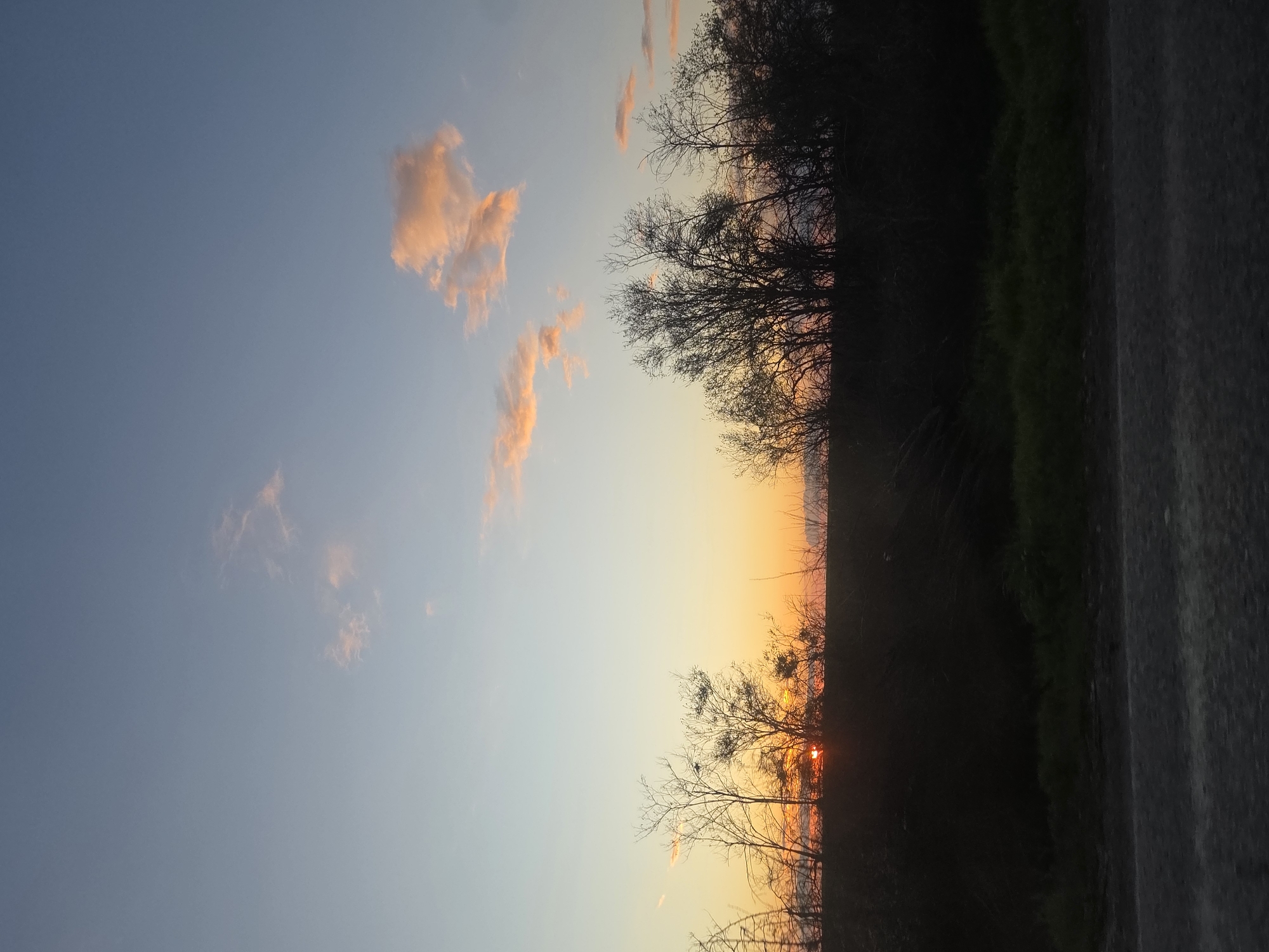 The image captures a sunset scene in Koilovtsi, Bulgaria. The sky transitions from blue to orange, with pink-tinged clouds in the upper left. Silhouetted trees form the midground, with the sun setting behind them. A strip of green vegetation and a gray pavement edge are on the right, framing the view. There are no people in the image.