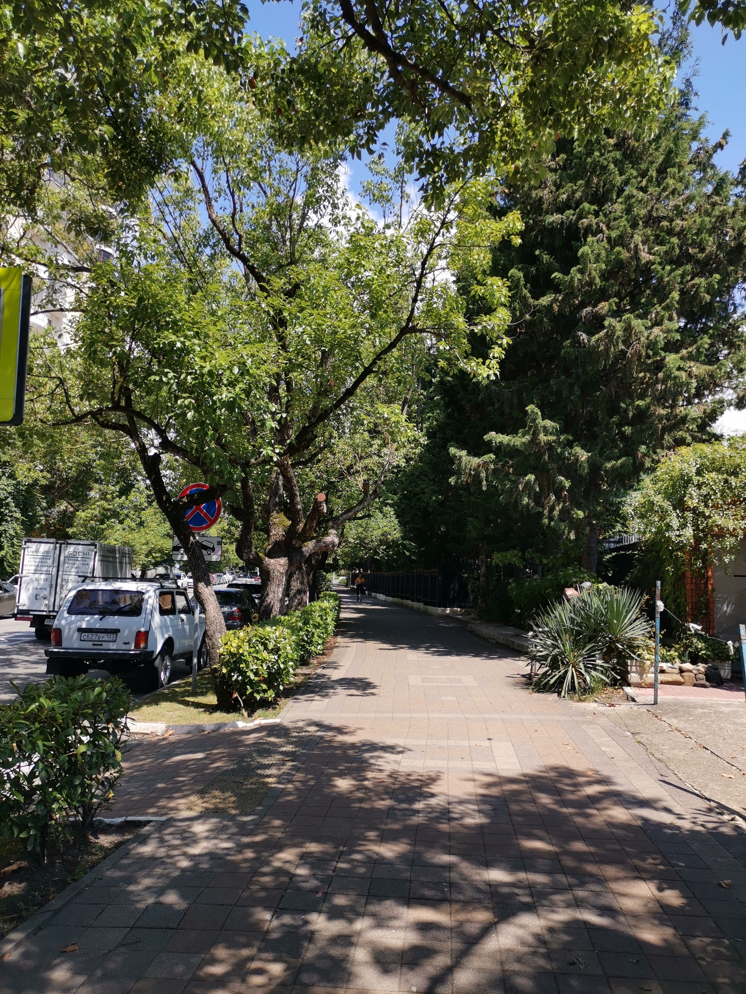 The image depicts a sunny day on a street in Sochi, Russia, characterized by a sidewalk lined with trees and low-lying bushes. A paved walkway, made of rectangular bricks, is visible in the foreground, dappled with sunlight and shadows cast by the foliage. To the left of the walkway, a street is visible with parked cars, including a white Lada Niva with a license plate reading "C627BY 123". A large white truck with "SOCHI" branding is also parked on the street. On the right side of the walkway, a dark fence encloses a property with lush greenery and a distinctive evergreen tree. Further down the street, a person is walking, and several other vehicles are visible. A red and blue circular traffic sign is affixed to a tree. The overall scene suggests a peaceful urban environment with abundant vegetation.