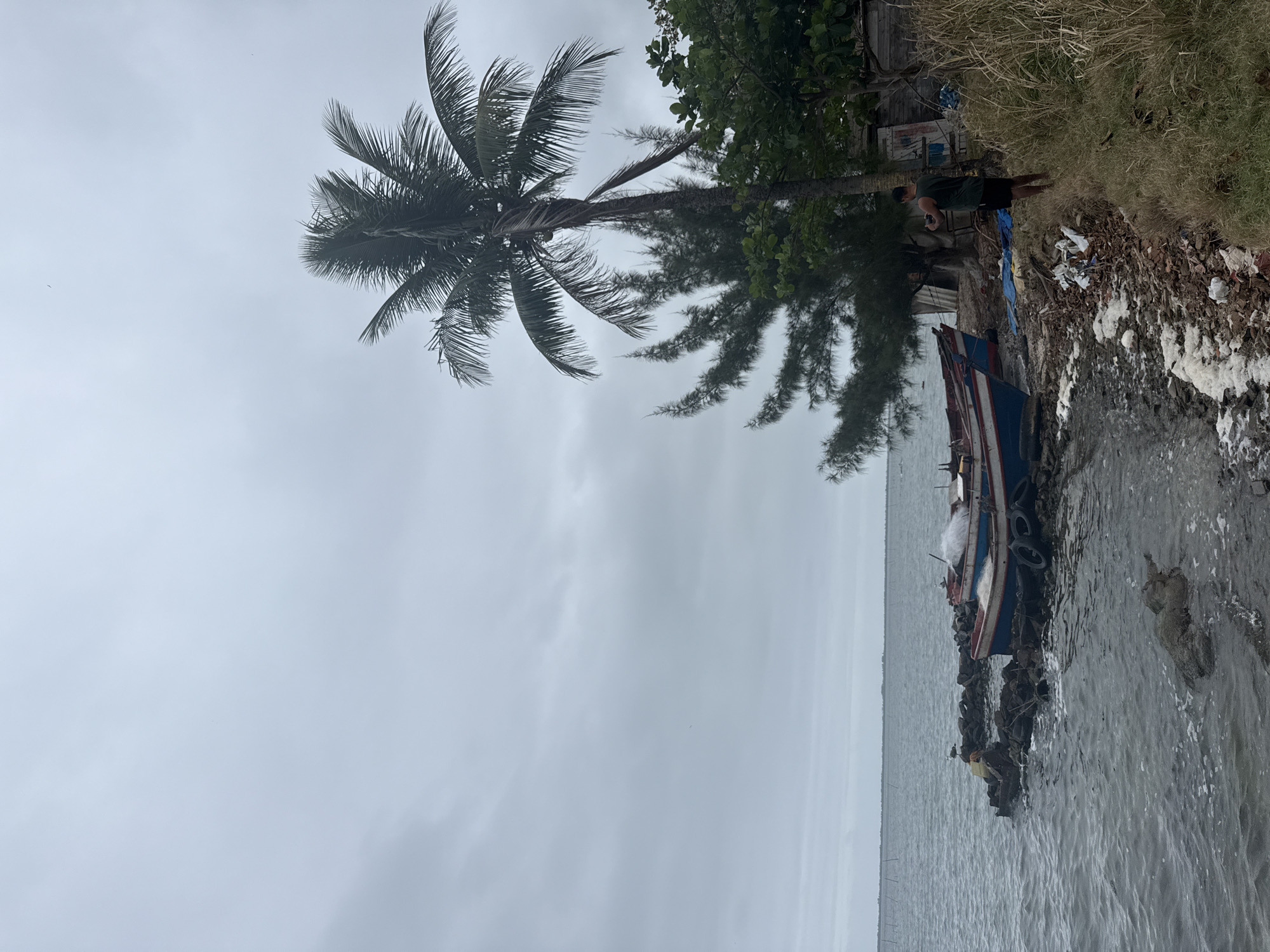 The image depicts a cloudy day scene on the shores of São Pedro da Aldeia, Brazil. In the foreground, the choppy, gray water of the lagoon laps against a rocky and debris-strewn shoreline. Two small fishing boats are partially beached on the shore, one with blue and red detailing and the other primarily red. They appear to be out of service, with tires and netting scattered around them. Further inland, a tall palm tree stands prominently against the overcast sky, its fronds swaying slightly. Behind the palm, dense green foliage and a rustic wooden structure are visible. A man, wearing a dark tank top and black shorts, stands near the edge of the vegetation, looking towards the boats and seemingly interacting with a phone. The overall environment suggests a somewhat neglected coastal area, characterized by natural elements and signs of human activity, possibly fishing.