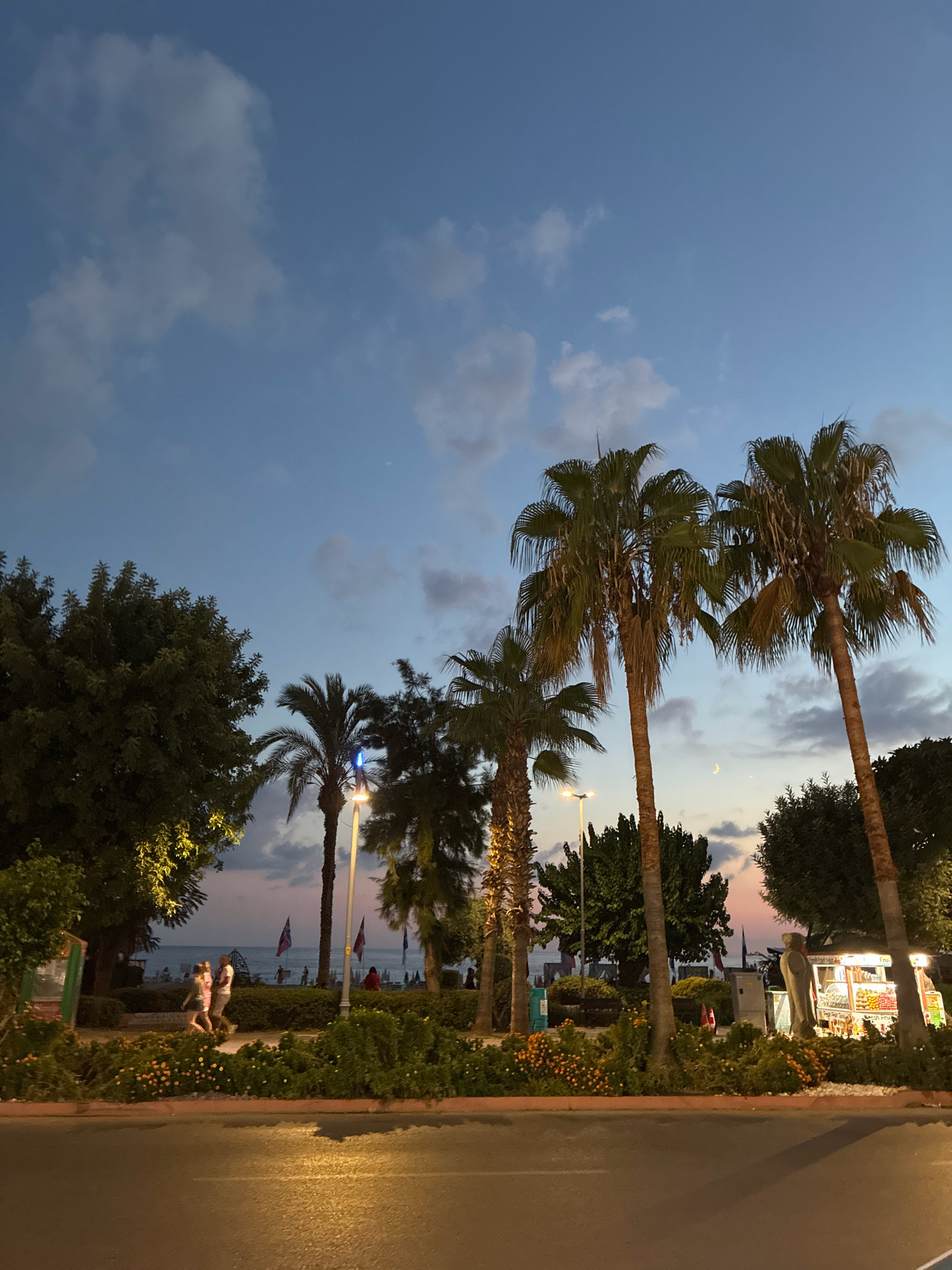 The image captures a twilight scene in Alanya, Turkey, likely along the Atatürk Bulvarı, a prominent coastal boulevard. In the foreground, a paved road with illuminated markings suggests it's evening. A manicured median strip separates the road from a pedestrian walkway, featuring lush green bushes and vibrant orange flowers. Several palm trees, characteristic of the Mediterranean climate, stand tall, some silhouetted against the dusky sky, while others are illuminated by streetlights.
Beyond the greenery, a beach is visible with scattered beach chairs and umbrellas. Several people are walking along the beach or near the water. In the background, the sky transitions from a pale blue to hues of pink and orange, indicating the setting sun. A faint crescent moon is visible in the sky.
Further along the promenade, a food stall selling fresh juices is illuminated, with a statue of what appears to be a man standing nearby. Flags, possibly indicating different establishments or regions, are also visible near the beach. The overall atmosphere is relaxed and pleasant, typical of a seaside resort town in the evening.