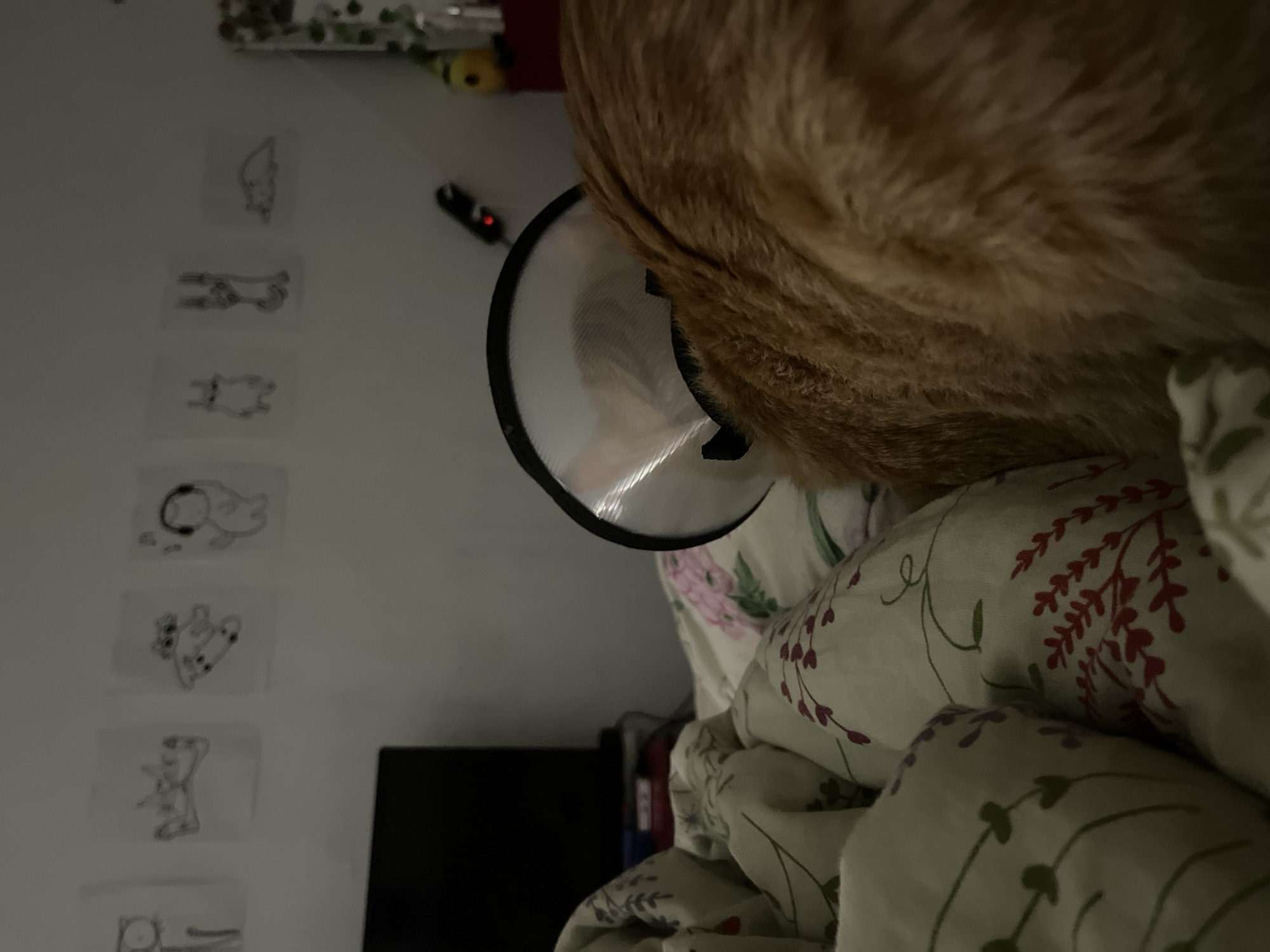 An orange cat wearing a clear plastic cone is lying on a bed covered in a floral print comforter. The cat's head and upper body occupy most of the right side of the image. Behind the cat and to the left, a black television is visible near a white wall decorated with several small sheets of paper, each bearing a sketched drawing. The location and city cannot be determined from this image.