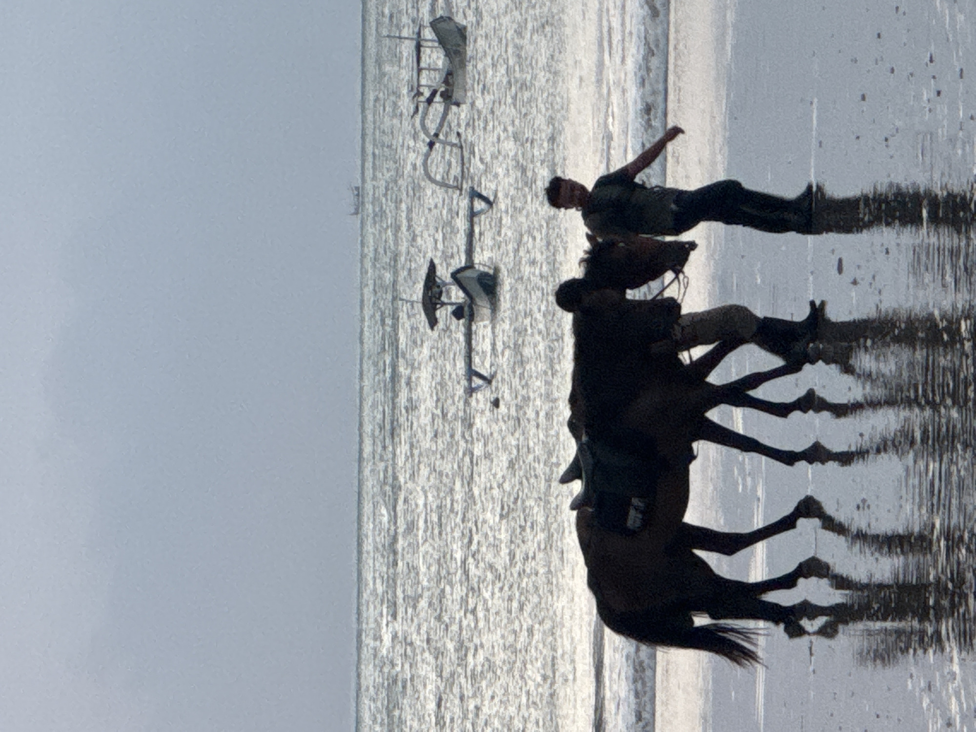 The image, oriented upright, captures a tranquil beach scene, likely during either sunrise or sunset, given the soft light and prominent silhouettes. The setting is identified as Kuta Selatan, Indonesia.
In the foreground, a dark-colored horse carrying a rider is depicted on the wet sand at the water's edge. Both the horse and rider are rendered in strong silhouette against the bright, shimmering expanse of the ocean and sky. The horse's legs and the rider's lower body create distinct reflections on the glossy, damp sand. Another person, also in silhouette, stands near the horse, possibly a handler or companion, with their arms slightly raised.
Further out in the shallow water, two light-colored, unoccupied beach chairs or loungers are visible, adding to the impression of a resort or tourist beach location. The water itself reflects the ambient light, creating a sparkling, almost ethereal quality that blurs the line between sea and sky. The overall scene suggests a leisurely activity, such as horseback riding along the coastline, in a peaceful and picturesque environment. No visible text can be discerned in the image.