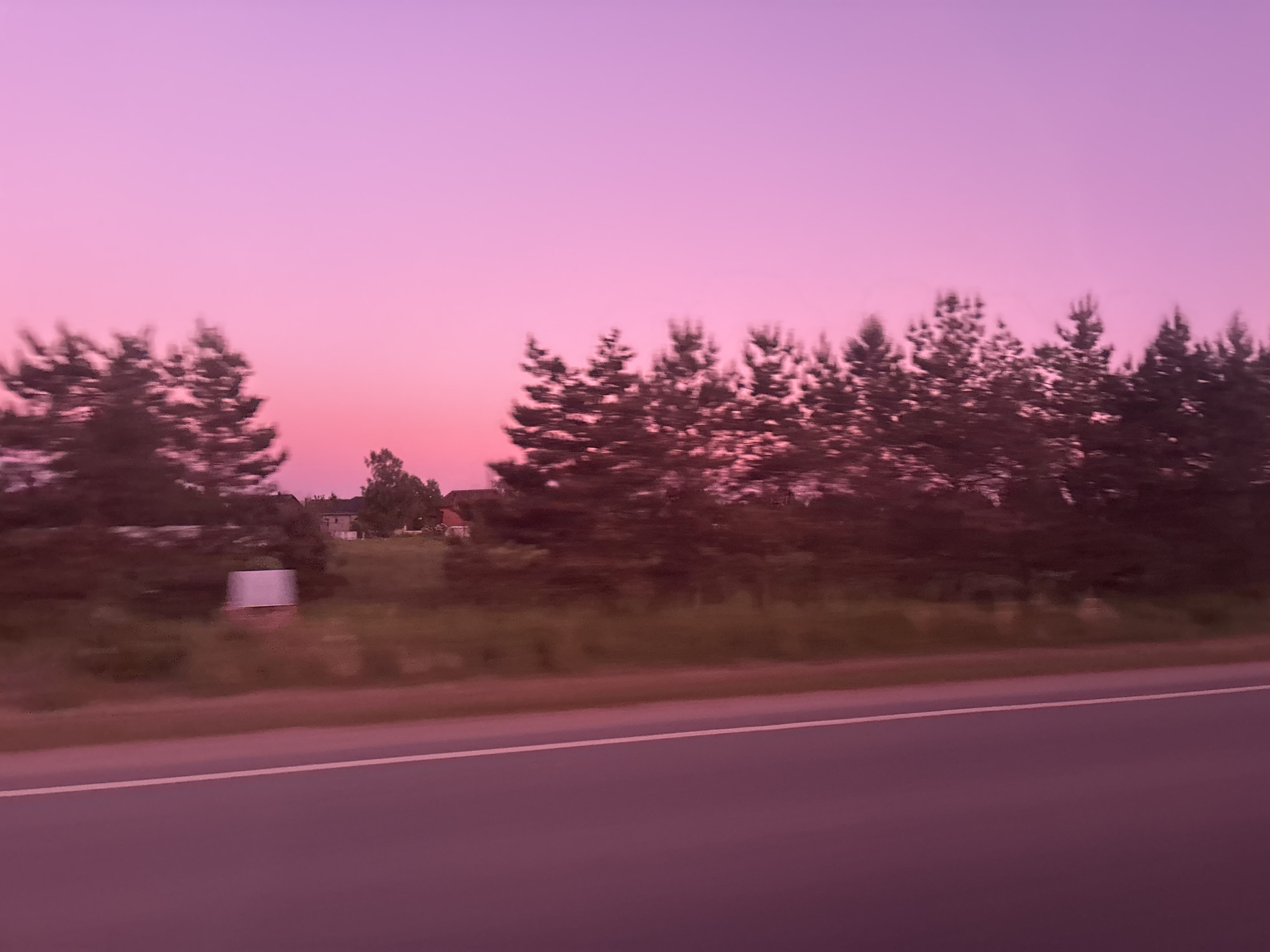 The image shows a blurred roadside view at dusk or dawn. The sky is a gradient of pink and light purple. A line of trees is present along the roadside. There is a grey two-lane road in the foreground. A small, light-colored rectangular structure or marker stands near the roadside. A few indistinct houses are visible in the background behind the trees. The blurred appearance suggests the image was taken from a moving vehicle. The location is suggested to be Новоникольское, Russia.