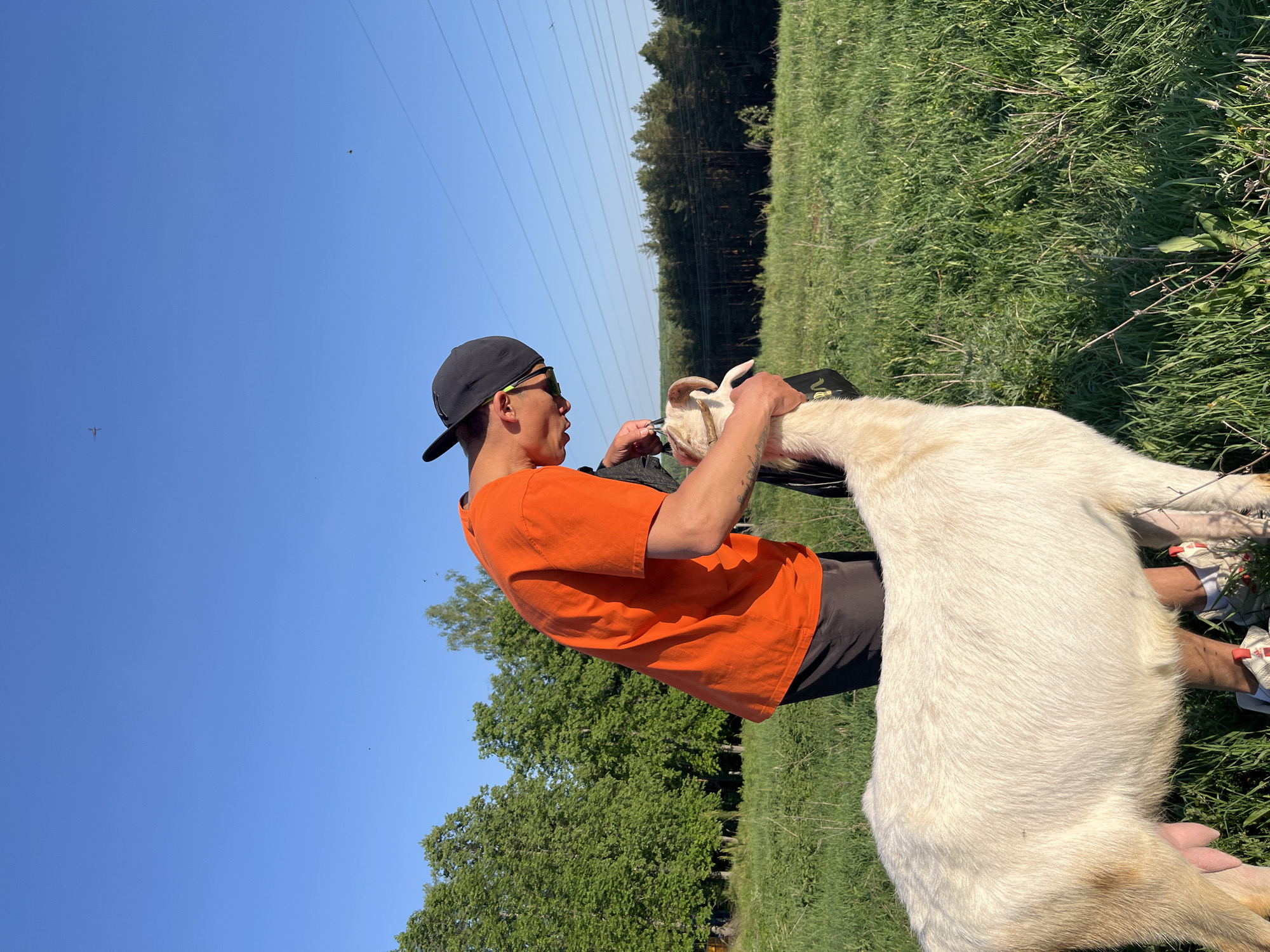 A man in an orange t-shirt and a black baseball cap is holding a white goat. The man is wearing sunglasses. The goat is mostly white, with a touch of tan. They are in a grassy field with trees in the background. Power lines are visible overhead. The location is Chaikovsky, Russia.