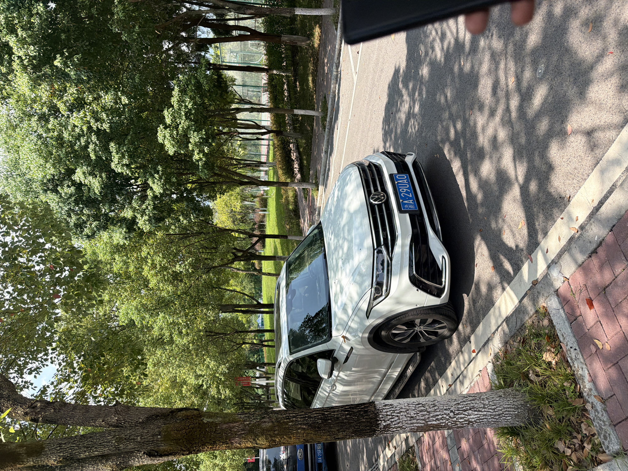 A white Volkswagen Tiguan SUV is parked on the right side of a paved road. The car has a blue license plate that reads "A 29UA0". To the left of the car is a tree with white paint around its base and a sidewalk made of red bricks. In the background, there are more trees and a chain-link fence, suggesting an outdoor recreational area, possibly a park or sports facility. The scene is lit by sunlight, casting shadows from the trees onto the road and sidewalk. In the foreground, a person's hand is visible holding a dark-colored mobile phone, with the right edge of the phone obscuring a portion of the road. The presence of trees and the style of the car and road suggest a location in a city like Jiangjin, China, likely an urban park or a street with a dedicated pedestrian and green space.