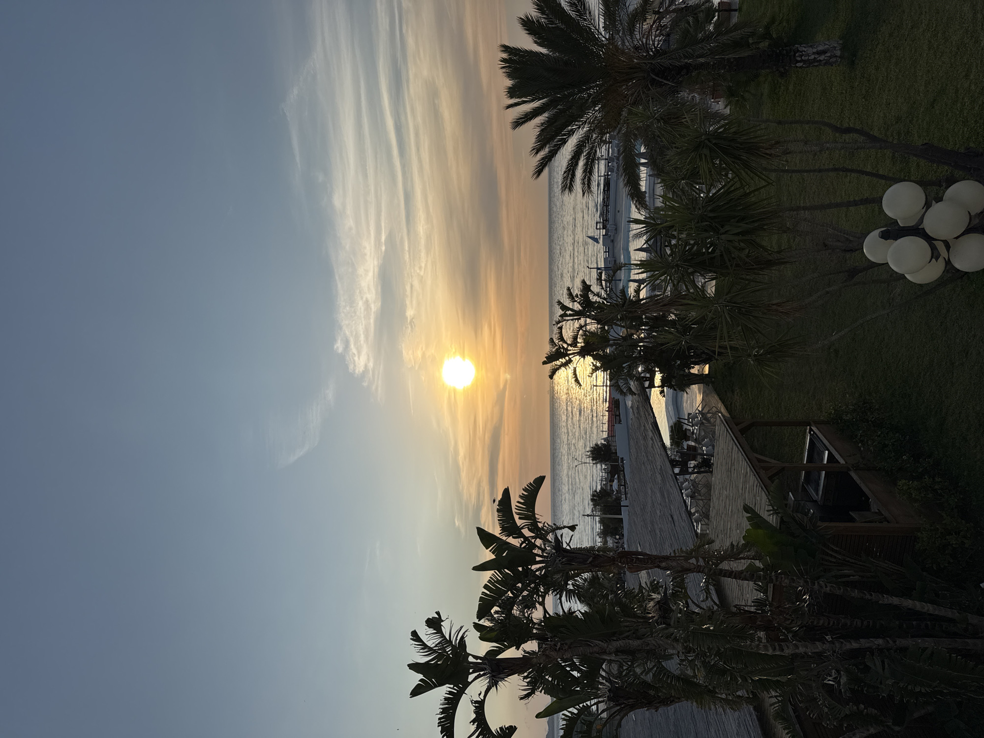 The image depicts a tranquil sunset over the sea at Isola delle Femmine, Italy. The sun, a bright golden disc, is prominently positioned low on the horizon, casting a radiant, shimmering reflection across the calm body of water. The sky, transitioning from a soft blue on the left, glows with warm orange and golden hues around the sun, adorned with delicate, wispy cirrus clouds stretching across the upper expanse.
In the foreground and midground, a vibrant green lawn occupies the right side of the frame. Numerous palm trees and other tropical plants, featuring large, dark fronds, are silhouetted against the bright evening sky and water, creating strong contrasts. Along the water's edge, a wooden deck or walkway is visible. Several boats, appearing to be yachts or motorboats, dot the water in the mid-distance, some anchored or docked. On the grassy area, a unique light fixture with multiple spherical white lamps stands out. Another wooden structure, possibly a small building or part of a larger establishment, is partially obscured among the dense foliage on the right.
The scene captures the serene beauty of dusk in a coastal setting, likely a resort or recreational area. No people are visible, contributing to the peaceful atmosphere. The weather appears clear with minimal cloud cover. There is no visible text in the image.