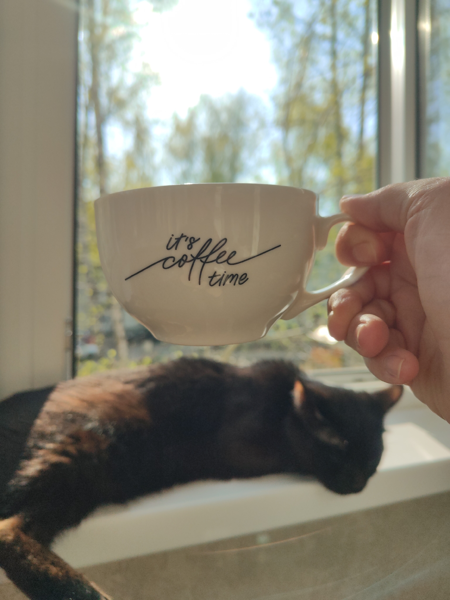 A medium shot presents a white ceramic mug with the inscription "it's coffee time", held by a fair-skinned human hand against a blurred background featuring a window and outdoor greenery. A black cat is lying on the windowsill, out of focus, in the lower portion of the image. The location is suggested to be Chaikovsky, Russia, though this is not explicitly discernible from the visual content of the image alone. No specific actions or interactions are depicted, other than the holding of the mug.
