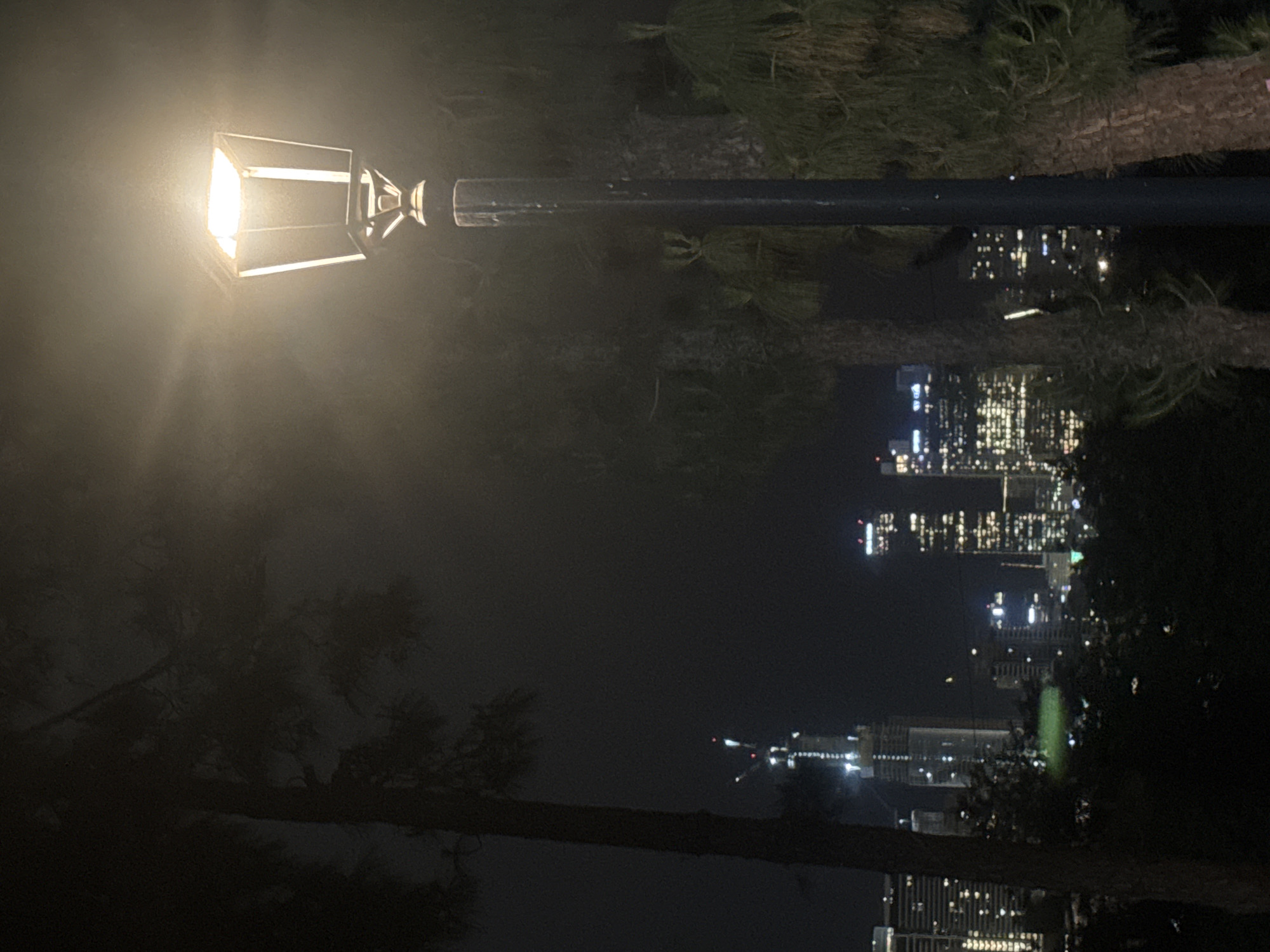 A nighttime view shows a city skyline in the distance with blurred lights from buildings. A street lamp is on the left side of the image, shining brightly. Trees and foliage are visible in the foreground, partially obscuring the cityscape. The location is Givatayim, Israel.
