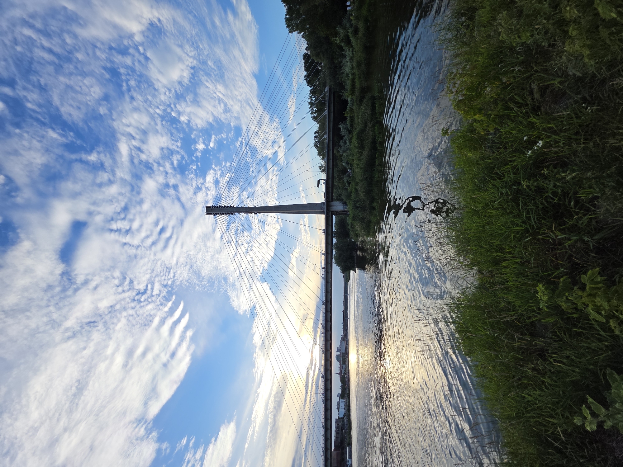 This is a photograph of the Świętokrzyski Bridge over the Vistula River in Warsaw, Poland, taken from the riverbank. The sky is filled with wispy white clouds against a bright blue background, with the sun low on the horizon, casting a golden reflection on the water. The cable-stayed bridge is a prominent feature, with its single pylon and radiating cables supporting the roadway. The river is calm, with ripples on its surface. Green grass and vegetation line the foreground, and trees form a dense line along the opposite riverbank. In the distance, buildings of the Warsaw cityscape are visible. A few people can be seen on the bridge, and there are some boats on the water. The overall scene depicts a tranquil urban landscape at sunset.