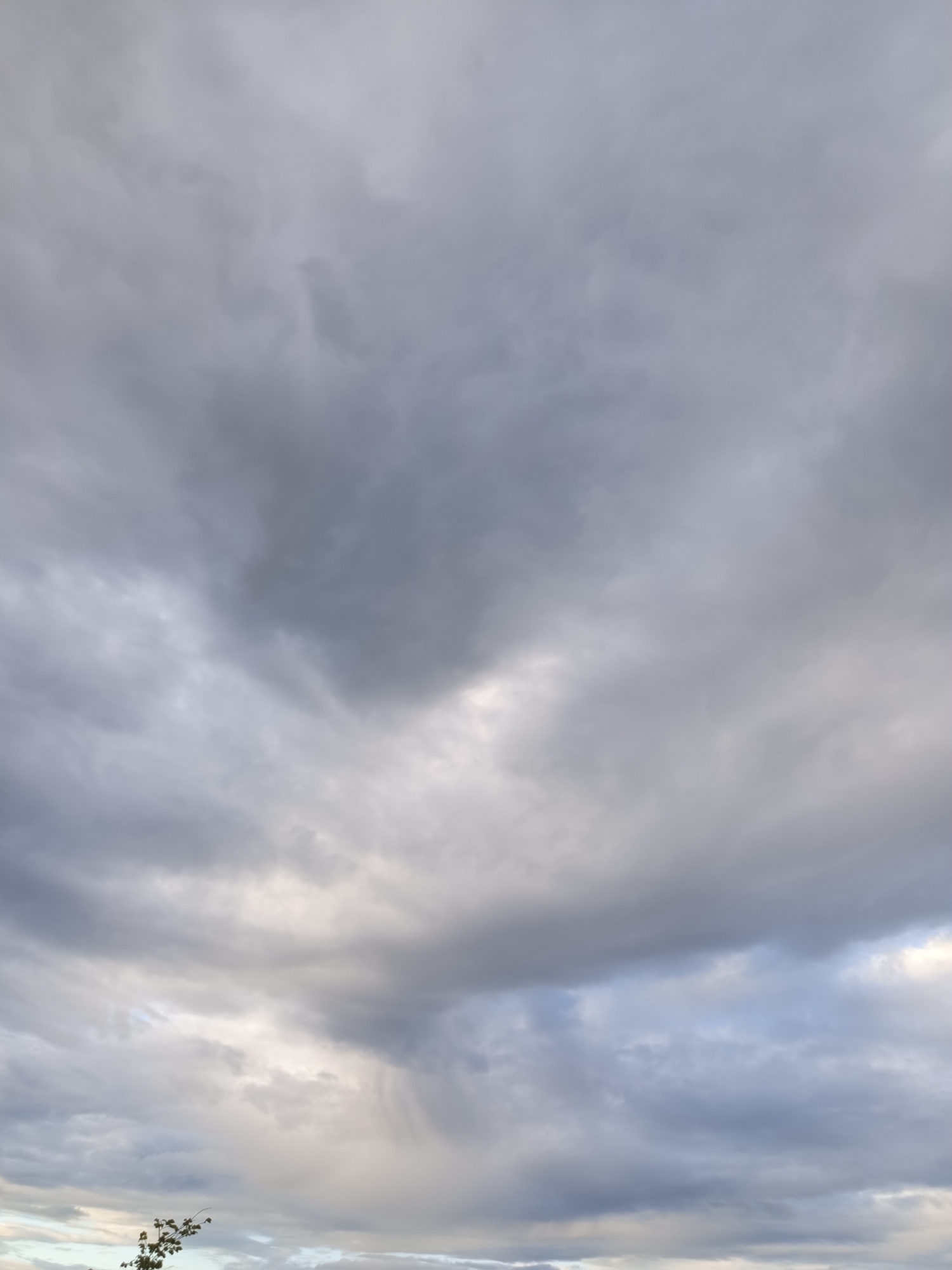 This is a vertical, eye-level photograph of a dramatic sky filled with heavy, grey clouds. The clouds are textured and varied in density, with some appearing dark and ominous, while others are lighter and more diffused, allowing hints of pale blue sky to peek through in places. The overall impression is one of impending or ongoing rain.
At the bottom of the frame, a small portion of the horizon is visible, showing the tops of distant, indistinct features, possibly trees or low hills. The lighting suggests it is either early morning or late afternoon, with the low angle of the sun casting a soft, diffused light through the cloud cover. The weather is clearly overcast and possibly stormy. There are no people or man-made objects prominently featured. The mood conveyed by the sky is somber and atmospheric. There is no visible text.