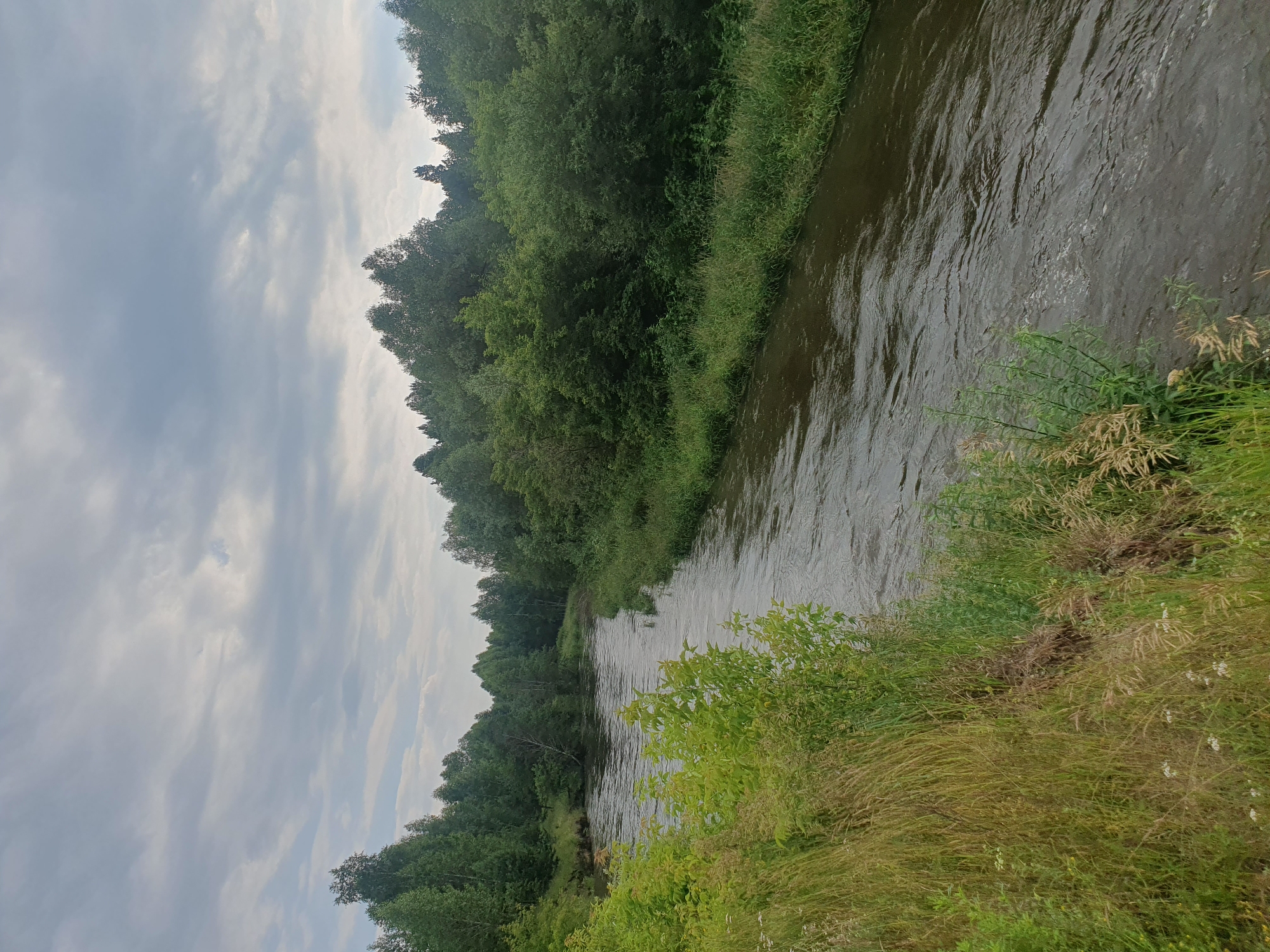The image depicts a wide, dark-colored river flowing through a lush, green forest. The riverbanks are densely covered with trees and various types of vegetation, including tall grasses and smaller bushes. The water appears to have a gentle current, with small ripples on its surface. The sky above is overcast with dramatic, heavy clouds, suggesting a gloomy or impending weather condition. The scene is natural and appears to be located in a rural or wilderness area. There are no people or man-made structures visible in the image, apart from the implied presence of a path or bank along the left side of the river. This scene is representative of the natural landscape found in and around the village of Mukhametovo, Russia, characterized by its rivers and dense forests.