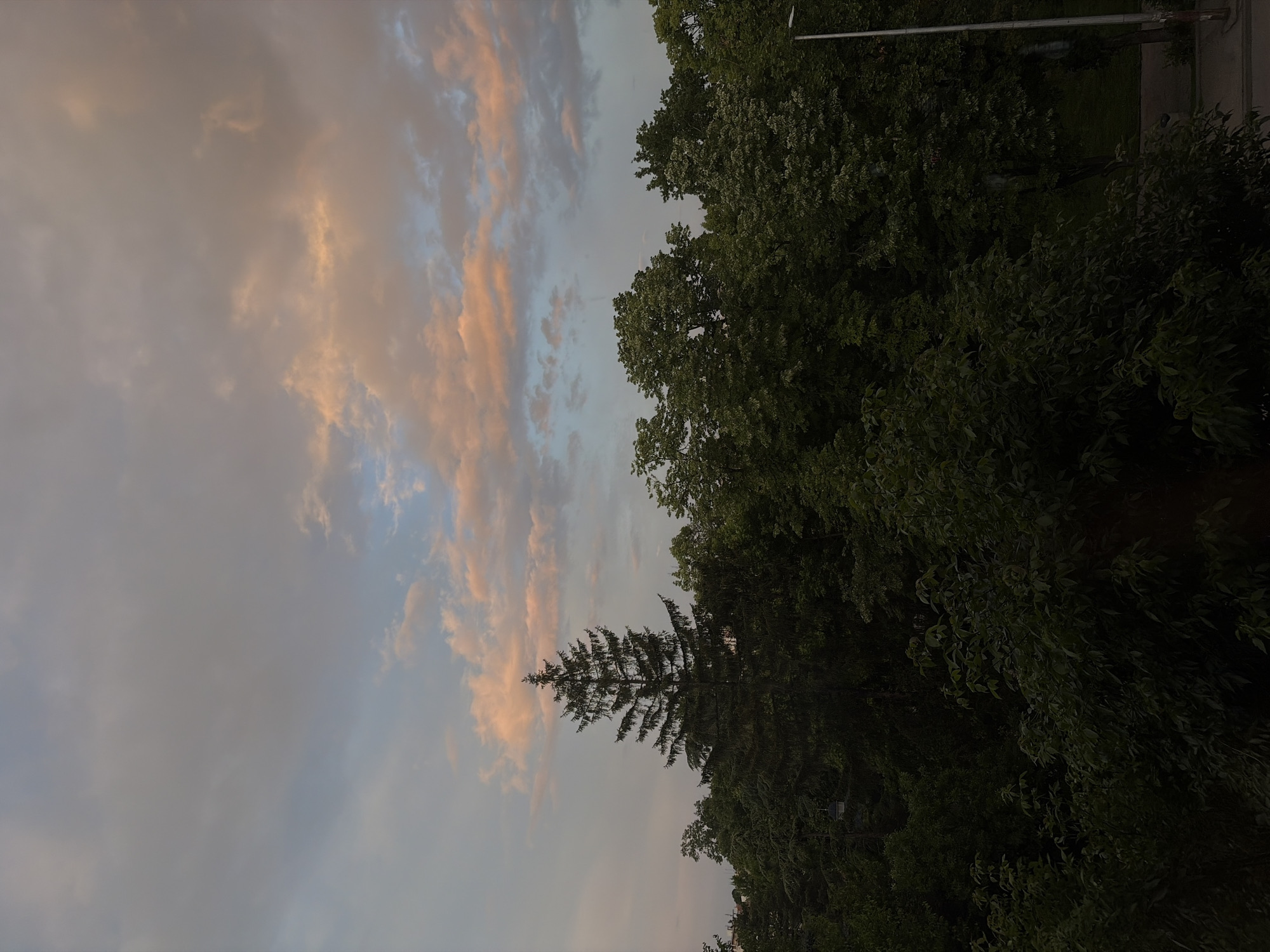 The image displays an outdoor scene captured during either sunrise or sunset, characterized by a vivid sky and lush tree canopy. The upper portion of the frame is filled with a cloudy sky, showcasing a blend of warm pink, orange, and peach hues on the left, transitioning into cooler grays and light blues across the center and right. This color gradient in the clouds strongly suggests twilight conditions, with the sun likely just below the horizon.
Below the sky, forming the lower and right sections of the image, is a dense expanse of trees. The foliage is primarily dark green, appearing somewhat shadowed against the brighter sky, particularly towards the bottom. A tall, slender conifer tree, possibly a spruce or fir, stands prominently on the left side of the tree line, its distinct silhouette sharply defined against the colorful clouds. Other broadleaf trees form a thick, undulating canopy across the right and lower parts of the frame, with glimpses of lighter green leaves where light catches them.
On the far right edge, a dark, thin pole, possibly a street light or utility mast, extends upwards from the tree line into the sky. In the deeper shadows of the lower right, a subtle horizontal bar or wire can be discerned, indicating some man-made structures integrated within the natural environment. The overall lighting is soft and diffused, creating a peaceful and quiet atmosphere. There are no people or specific activities taking place, and no visible text. The setting appears to be a park, a wooded area, or a natural buffer zone in an urban or suburban environment.
