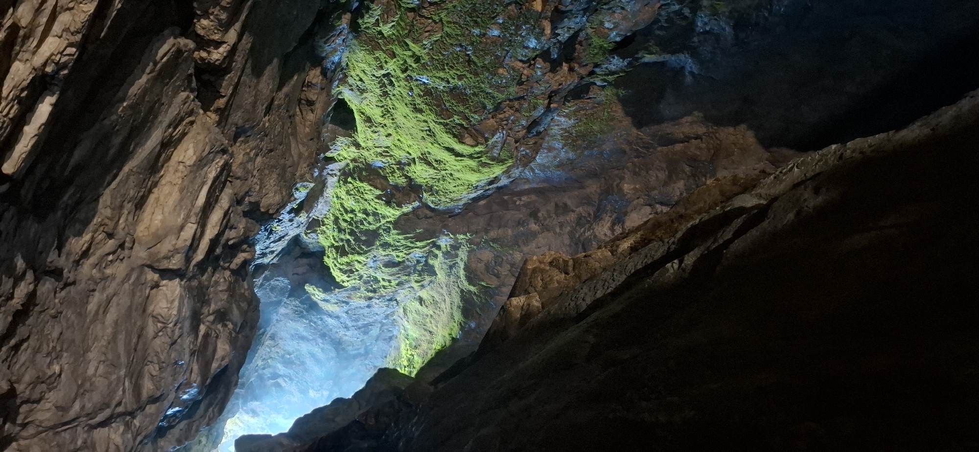 The image depicts the interior of a cave with a dramatic opening to the outside, allowing a bright, ethereal light to illuminate the scene. The cave ceiling is composed of rough, layered rock formations, with some areas appearing wet and glistening. A prominent feature of the cave is the vibrant green moss that covers large sections of the rock walls, particularly on the right side of the image. This moss is lush and appears to be thriving in the damp, low-light environment. The opening to the outside reveals a misty or smoky atmosphere, with hints of greenery beyond. The overall impression is one of a natural, wild, and somewhat mystical environment, suggesting a place untouched by extensive human intervention. This specific cave is part of the Trigrad Gorge in the Rhodope Mountains, near the village of Trigrad, Bulgaria, a region known for its stunning karst landscapes and numerous caves.