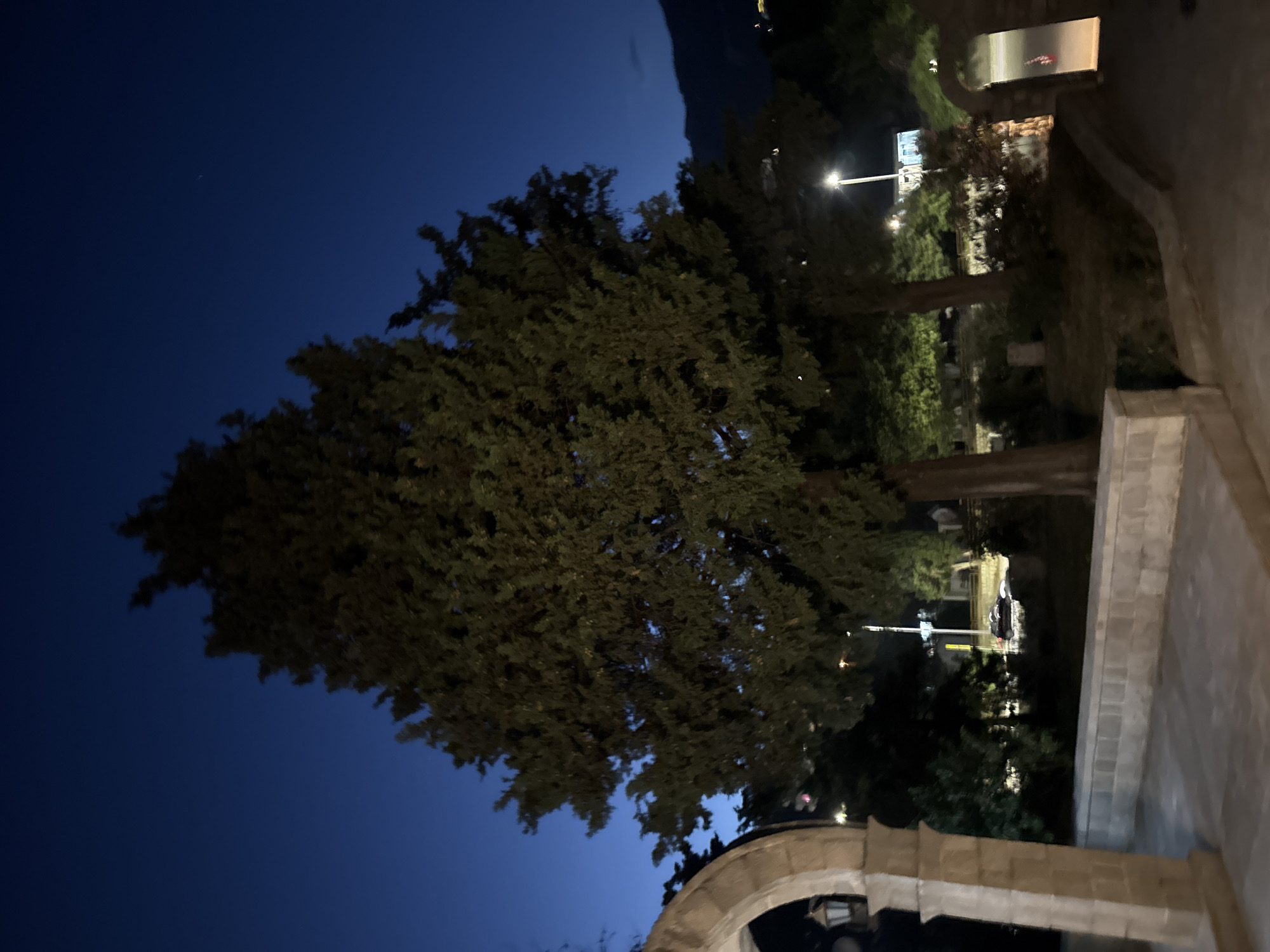 The image depicts a night scene in Boreti, Montenegro, with a large cypress tree dominating the center. The sky is a deep blue, indicating twilight or a clear night. In the foreground, to the left, is a portion of a stone archway with a lantern attached. A low stone wall runs across the middle ground. Behind the cypress tree, glimpses of a street with a car and streetlights are visible, suggesting a residential or town area. To the right, another stone archway leads into a dimly lit passage, with a figure visible inside. The overall impression is one of a quiet, possibly historic, urban landscape at night.