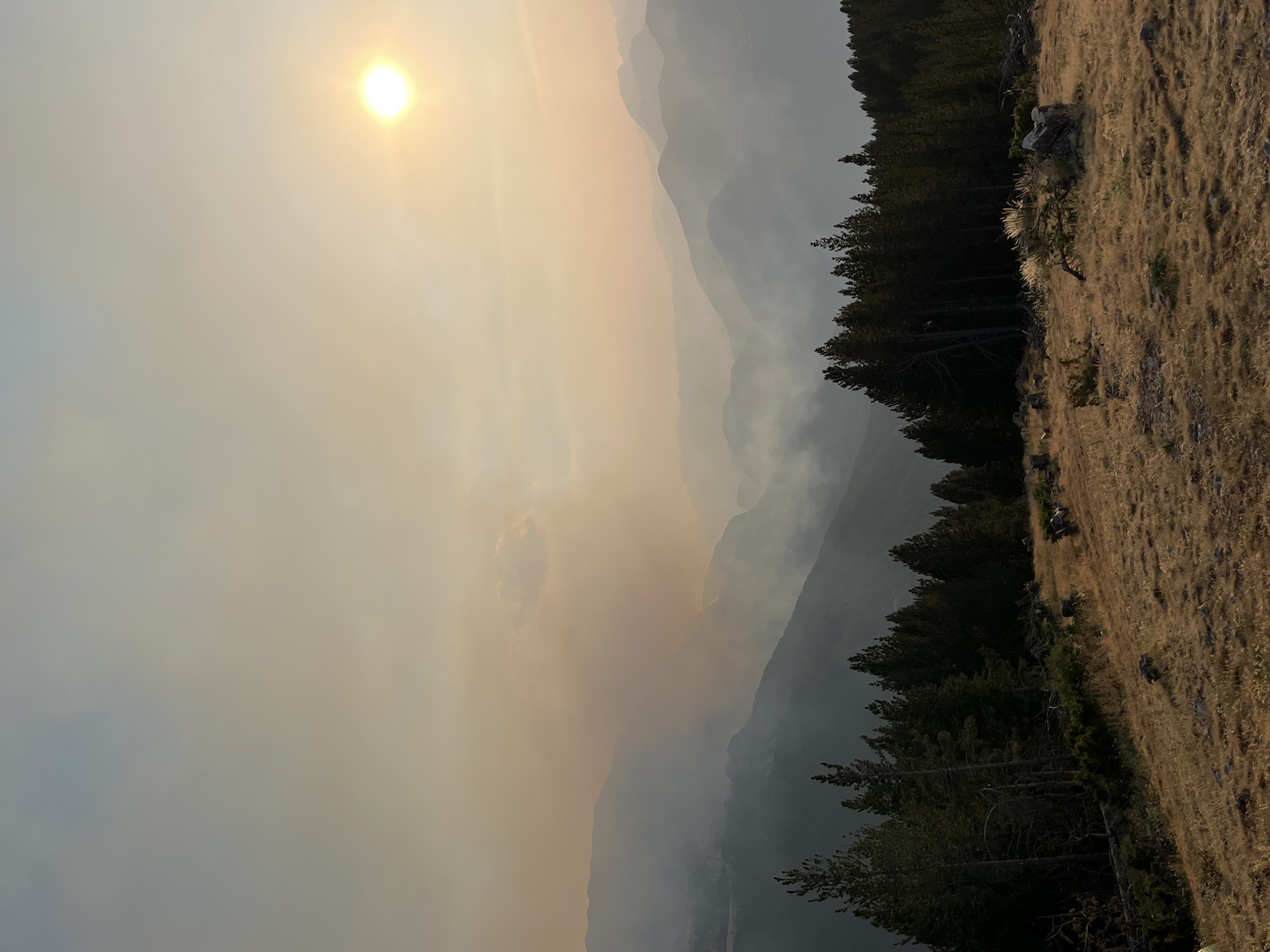 An outdoor, elevated, wide shot captures a landscape dominated by hazy mountain ranges under a sun partially obscured by atmospheric smoke. The foreground features a grassy slope dotted with sparse trees and rocky outcrops. A dense line of pine trees forms a dark band across the middle ground, with more trees visible on the slopes of the mountains in the distance. The sky is a muted orange and yellow, indicative of smoke, with the sun appearing as a bright white circle in the upper right quadrant. The overall impression is one of natural beauty impacted by environmental conditions, potentially a wildfire, contributing to the hazy atmosphere and the muted sunlight. The location is identified as San Juan de Plan/San Chuan de Plan, Spain. There are no people or animals readily visible in the image.