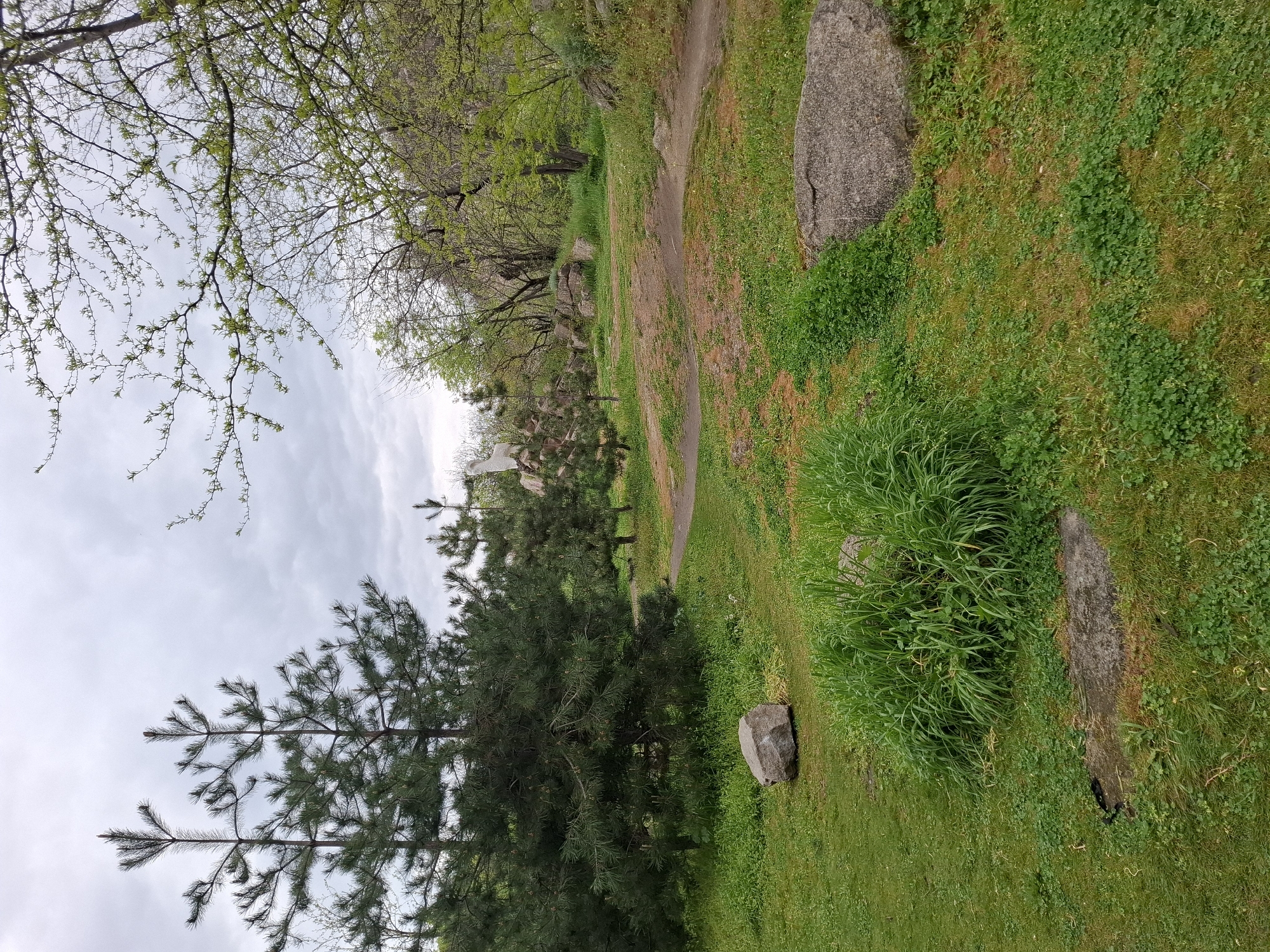 The image shows a dirt path winding through a grassy area in Plovdiv, Bulgaria. There are trees along the path and several large rocks scattered in the grass. The sky is overcast. There are no people visible in the image. Coniferous and deciduous trees are visible.