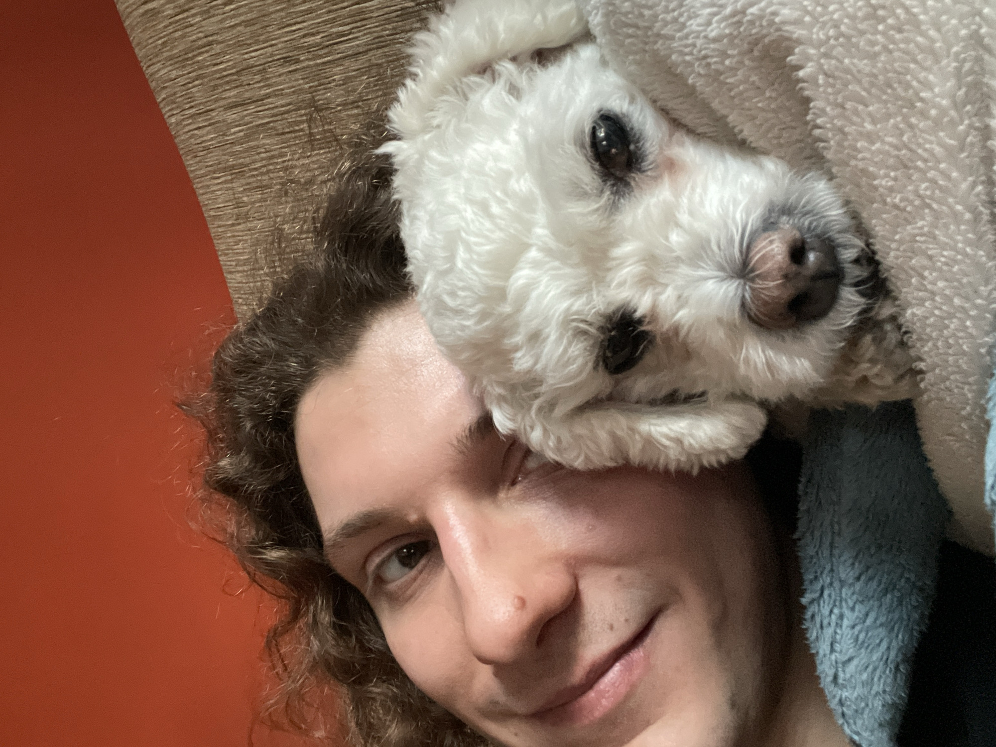 A selfie shows a fair-skinned individual with curly brown hair and a smiling expression. The individual's head is positioned to the left, filling the lower portion of the frame. A small, white dog with dark eyes and a pink nose is nestled on the person's head, partially obscured by a white and blue towel. The background consists of a textured beige wall on the upper left and a solid orange wall on the lower left. The location is not discernible from this image.