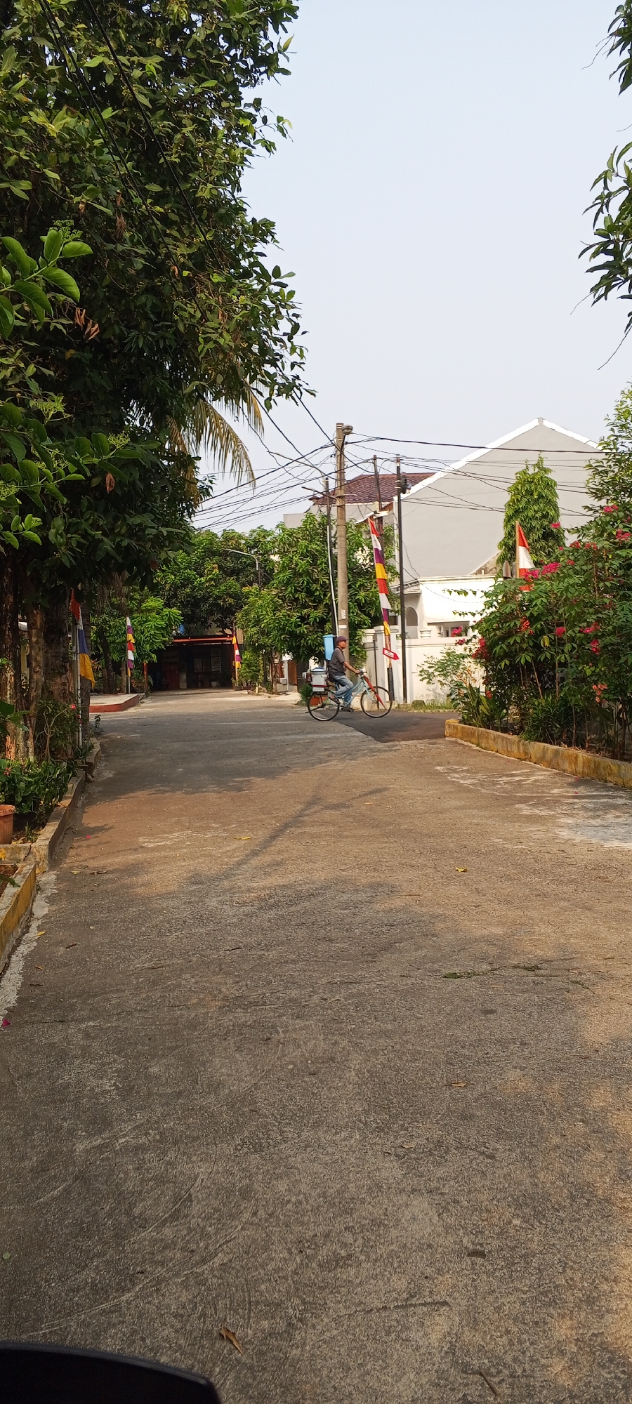 The image depicts a street scene in Depok, Indonesia, with a concrete road winding through a residential area. Lush green trees line both sides of the road, with some bearing palm fronds. Several houses with grey roofs are visible in the background, and a power pole with a tangle of wires stands near the center of the frame. Red and white Indonesian flags, commonly displayed during national holidays, are mounted on poles along the street. In the middle ground, a person is riding a bicycle with a white cooler attached to the back. The sky is clear and pale blue.