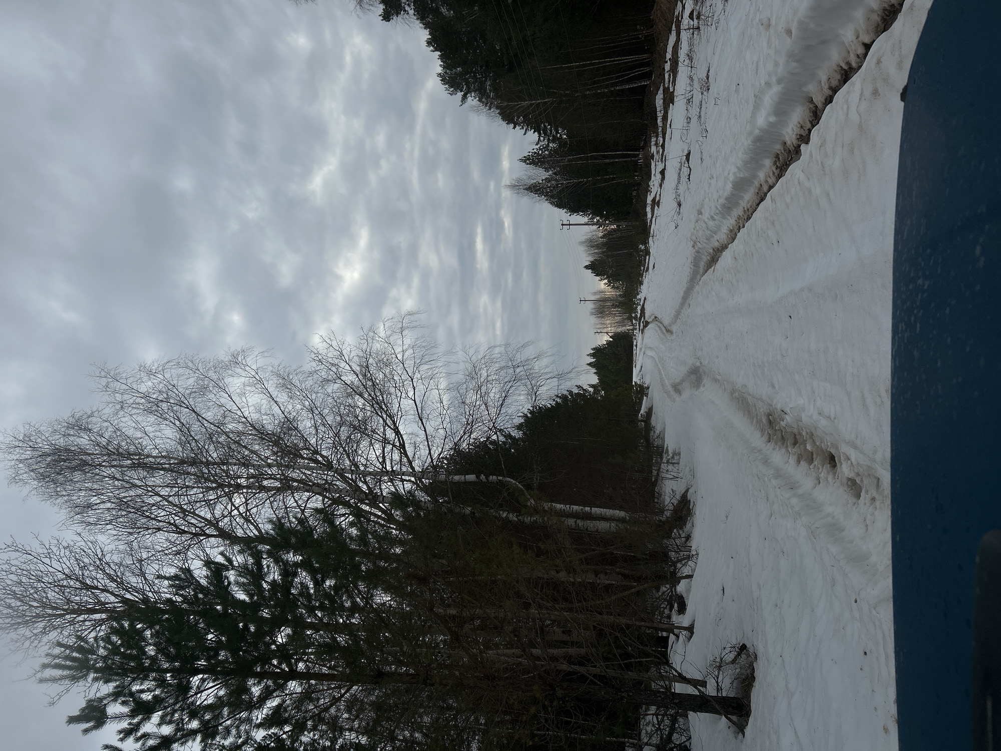 The image depicts a snow-covered landscape near the city of Уральское, Russia. A dirt road, partially covered with snow, winds through a wooded area. The sky is overcast with grey clouds. Bare trees and evergreen trees line the road. Power lines are visible in the distance. Part of a vehicle, possibly a truck or car, is visible in the right side of the image.