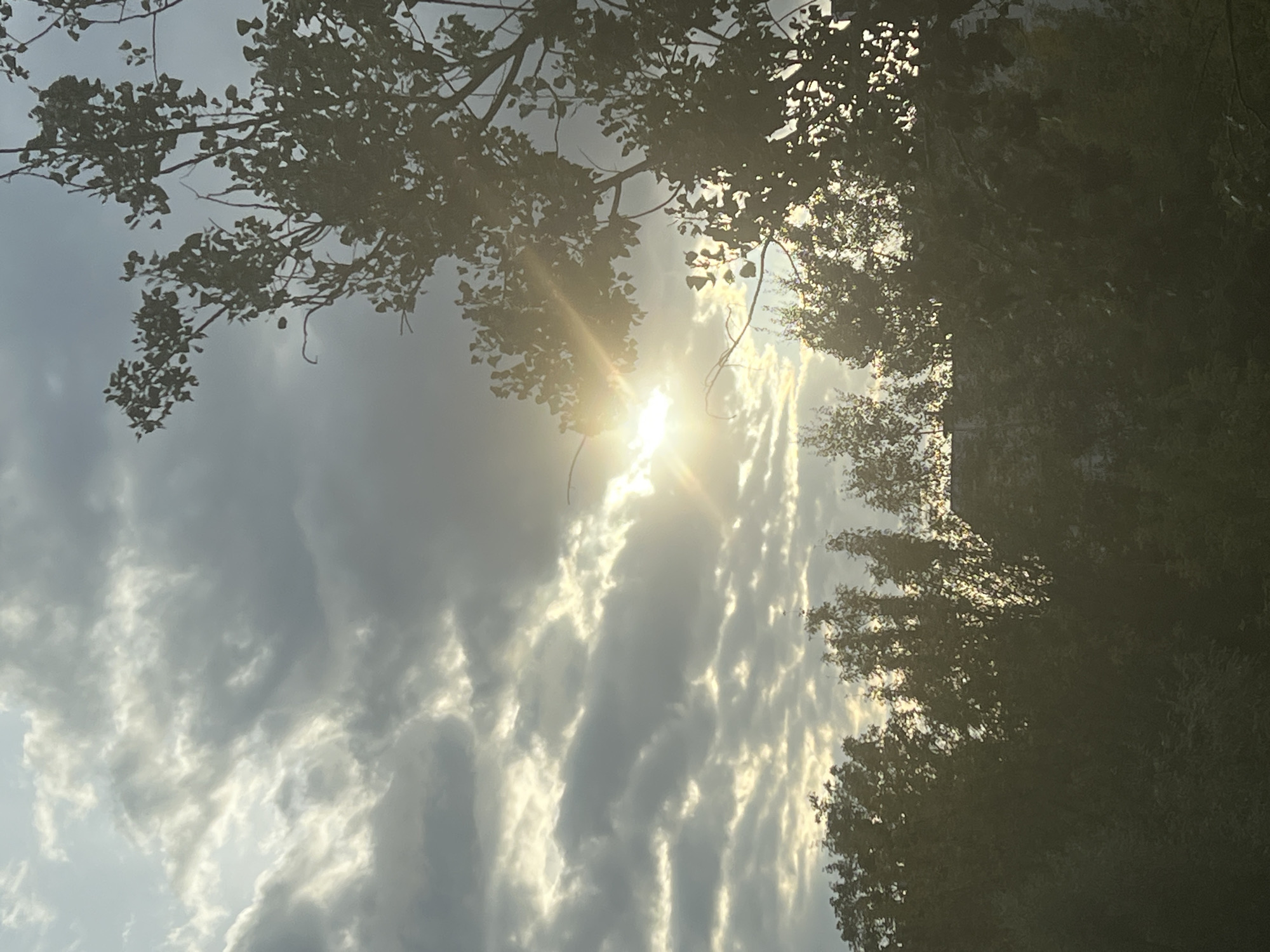 The image depicts a cloudy sky with the sun breaking through the clouds on the left side of the frame, casting sunbeams. Silhouetted trees and foliage are visible in the foreground and across the bottom of the image. In the background, parts of buildings are discernible through the trees. The overall scene is likely captured outdoors in a city environment. The location is identified as Warsaw, Poland.