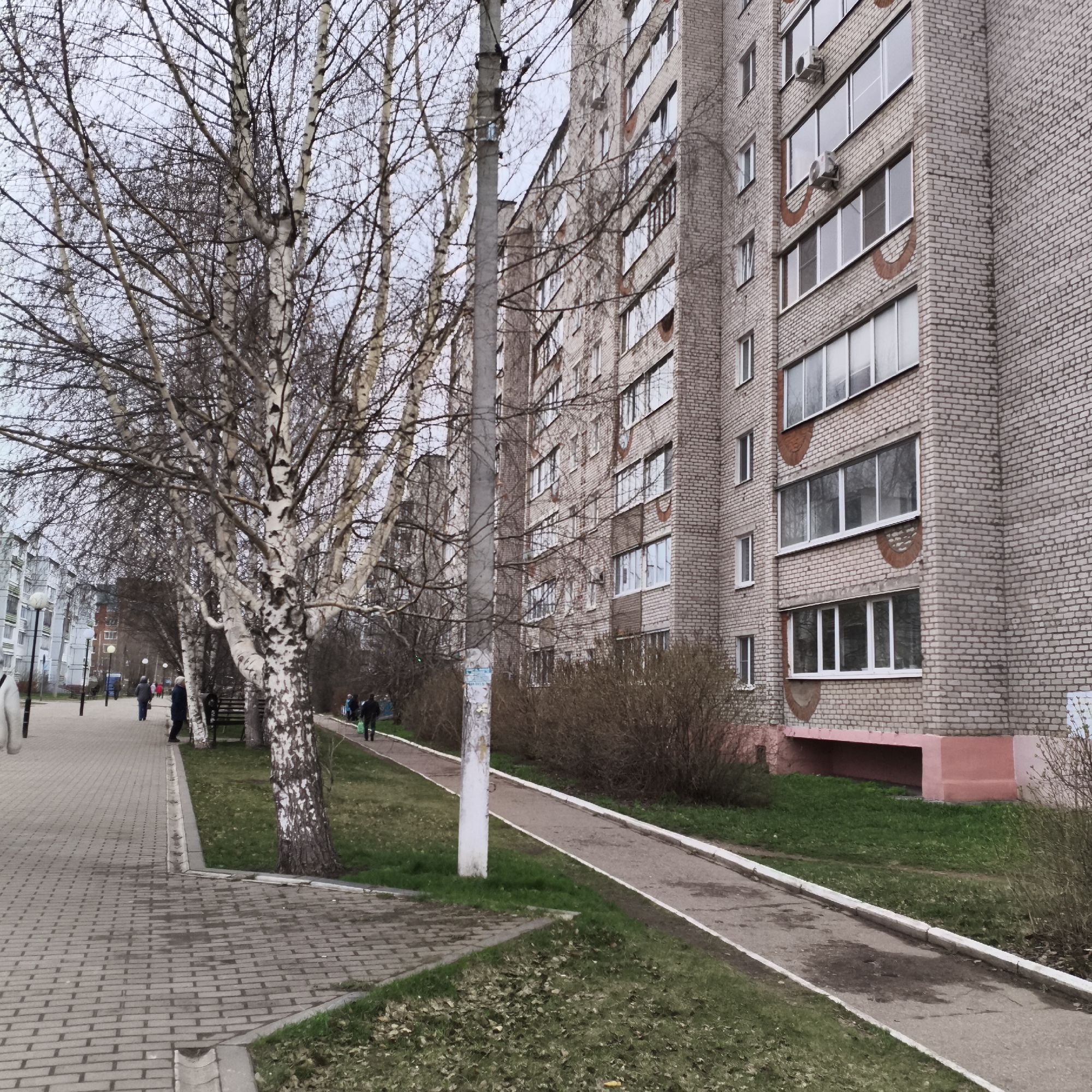 This image presents an urban street scene in Chaikovsky, Russia, depicting a residential area during what appears to be late winter or early spring.
The main subject on the right is a multi-story apartment building constructed from light-grey brick. It features numerous windows with white frames and several balconies, some equipped with external air conditioning units. Distinctive reddish-brown semicircular decorative patterns are incorporated into the brickwork above and below some windows, and the base of the building is painted a contrasting pinkish-red.
Along the left side of the frame, a wide, light-colored brick-patterned sidewalk runs parallel to a row of tall, bare birch trees. Their striking white bark with dark markings is prominent, indicating the trees are without leaves. Further down this sidewalk, several people are seen walking away from the camera, and black lampposts are visible.
A narrower, darker paved path, possibly asphalt or concrete, runs closer to the apartment building, separated from the main sidewalk by a strip of green grass and leafless brown bushes. A few individuals are also visible walking on this inner path.
A tall, grey utility pole stands in the mid-ground, slightly right of center, with some faded and unreadable text or a poster affixed to it. The ground shows patches of green grass mixed with scattered dry leaves, hinting at the early stages of spring. The sky is overcast, casting a soft, even light over the entire scene. The overall atmosphere is mundane and typical of a residential area, with people engaged in their daily routines.