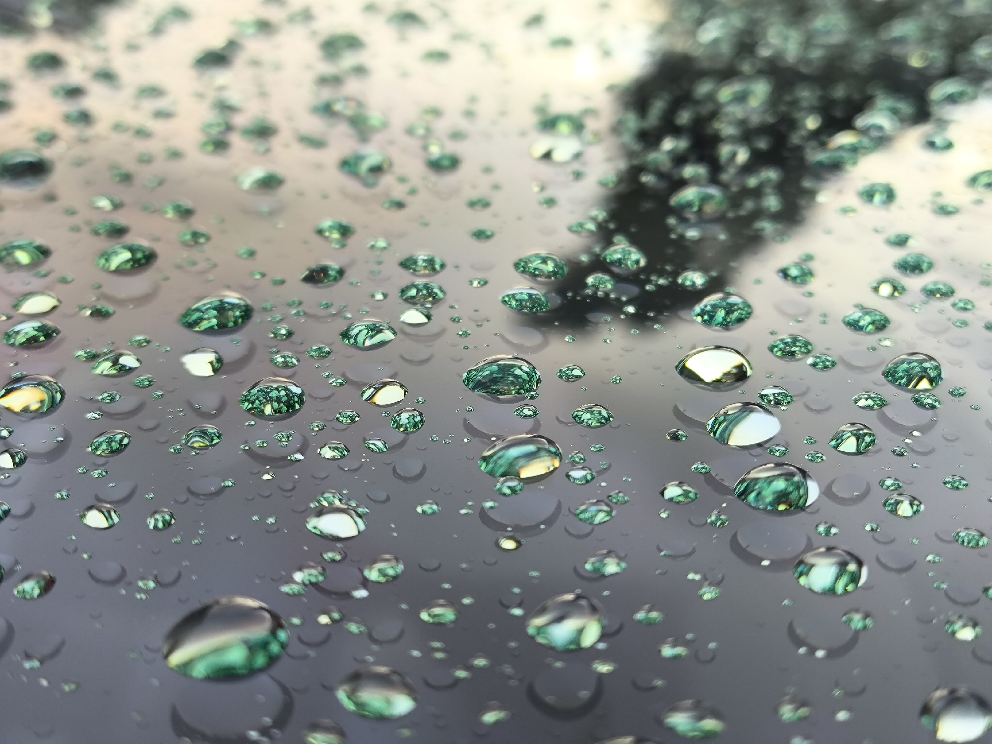 The image is a close-up, macro photograph of water droplets on a dark, reflective surface. The droplets are of varying sizes, from tiny specks to larger, more prominent spheres. Many of the droplets appear to contain reflections of green and yellow, suggesting they are on a surface that has been exposed to something colorful, possibly vegetation or artificial lights. The background is blurred and out of focus, showing a gradient of light and dark tones, with hints of a darker, amorphous shape in the upper right. The lighting is diffused, creating soft highlights on the water. There are no people or specific landmarks visible in the image. The scene is devoid of any context that would suggest a location in Kaliningrad, Russia, or any specific urban environment. The focus is entirely on the abstract patterns and textures created by the water droplets.