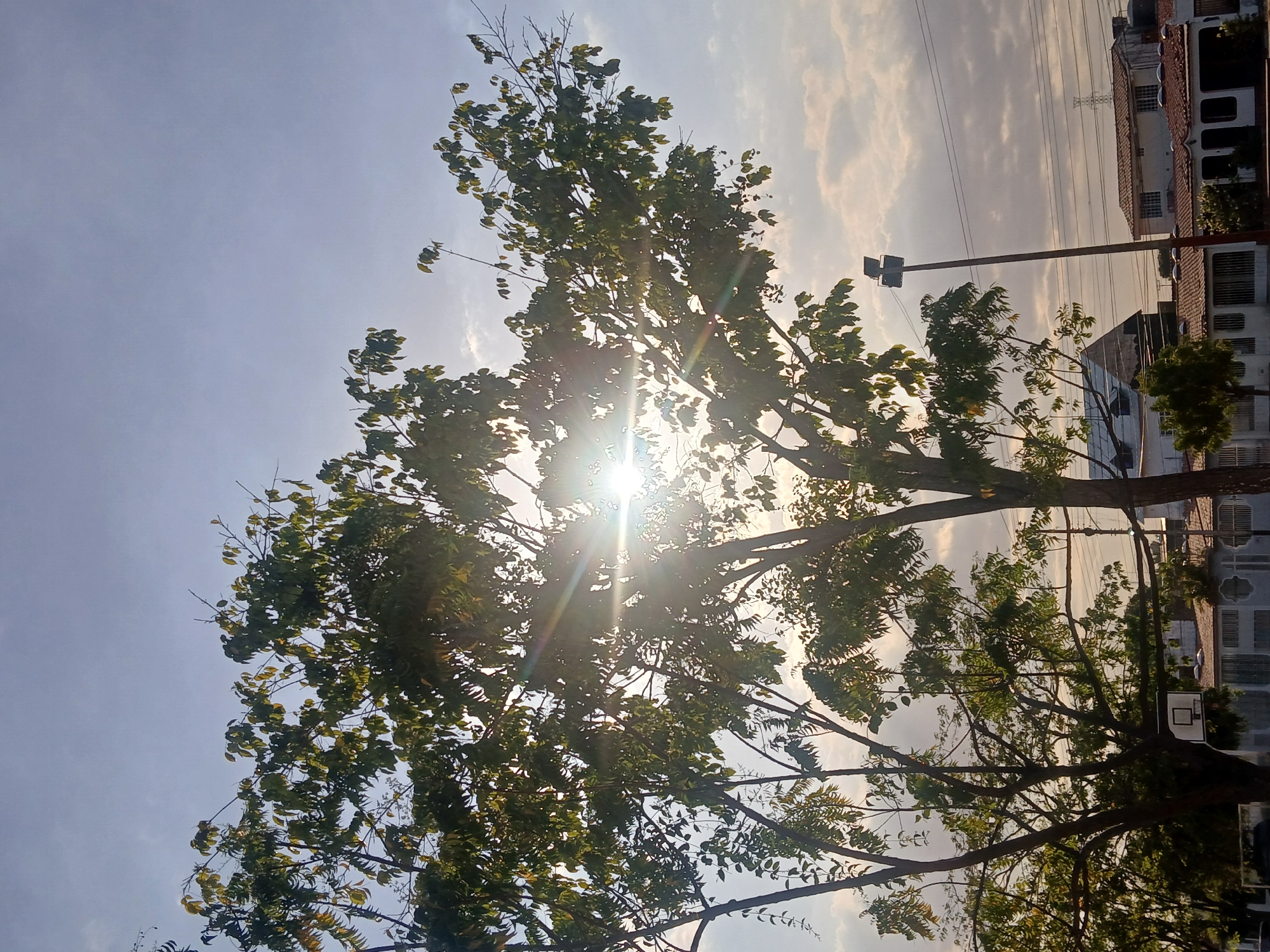 The image shows a sun-drenched scene with a tree dominating the foreground. The sun shines brightly through the tree's leaves, creating lens flare. In the background, there are buildings, power lines, and what appears to be a street light. A basketball hoop is visible in the lower right corner. The image is rotated 90 degrees clockwise. The location is Ciudad Guayana, Venezuela.