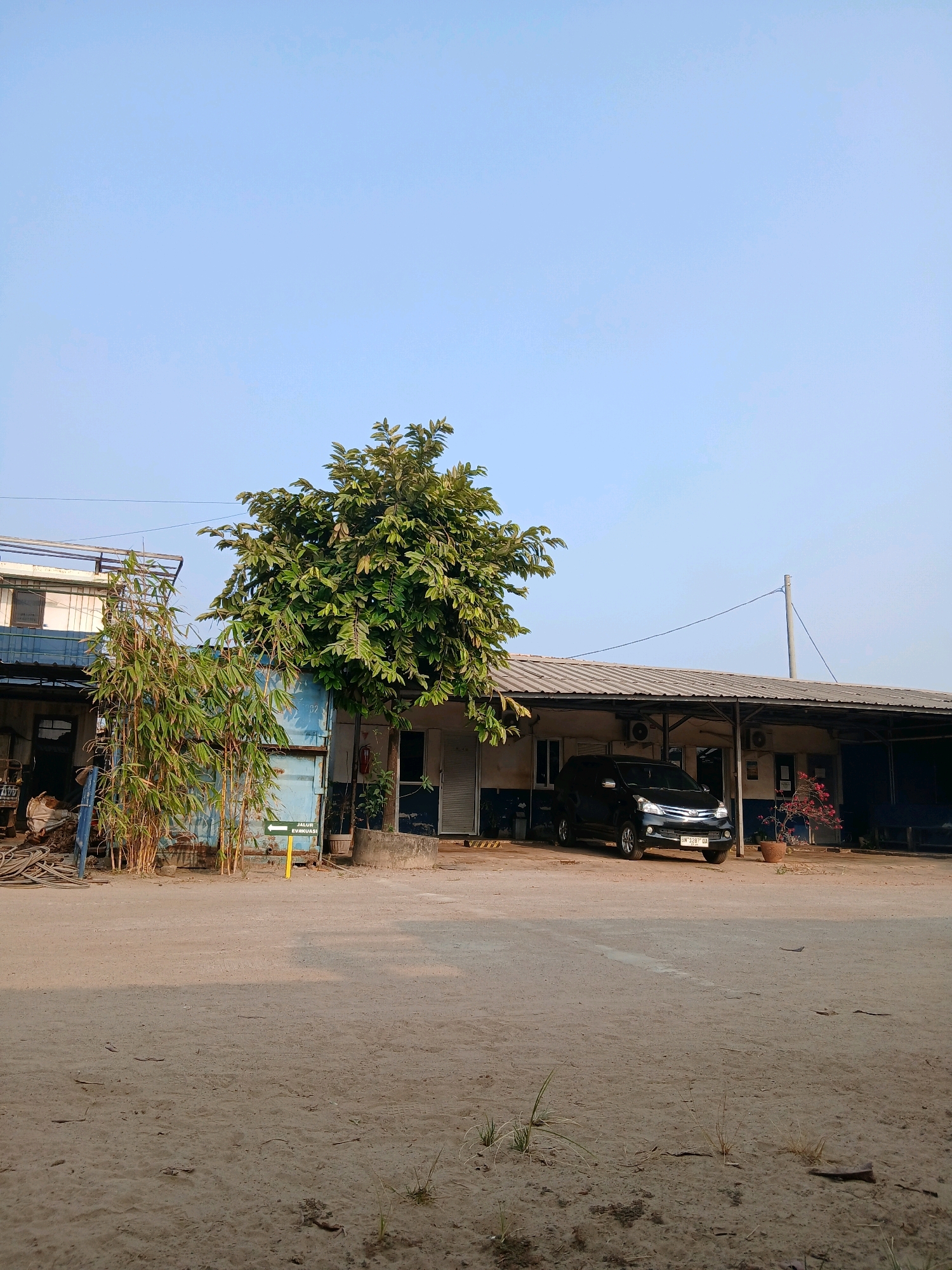 The image depicts a scene in Pangkalpinang, Indonesia, on a clear day with a pale blue sky. In the foreground, a dusty, uneven ground area suggests an outdoor industrial or undeveloped lot. A single black car, identified by its license plate "BN 3287 DA", is parked in front of a long, low-rise building with a corrugated metal roof. The building appears to be an office or workshop, with visible air conditioning units and windows. To the left of the building, a large tree with dense green foliage dominates the middle ground, with a cluster of tall, thin bamboo-like plants to its left. A blue shipping container is partially visible behind the bamboo. A yellow sign with a white arrow and the text "JALUR EVAKUASI" (evacuation route) is placed in front of the container. To the right of the building, a potted plant with pink flowers adds a touch of color. The overall environment suggests an industrial or logistical area.