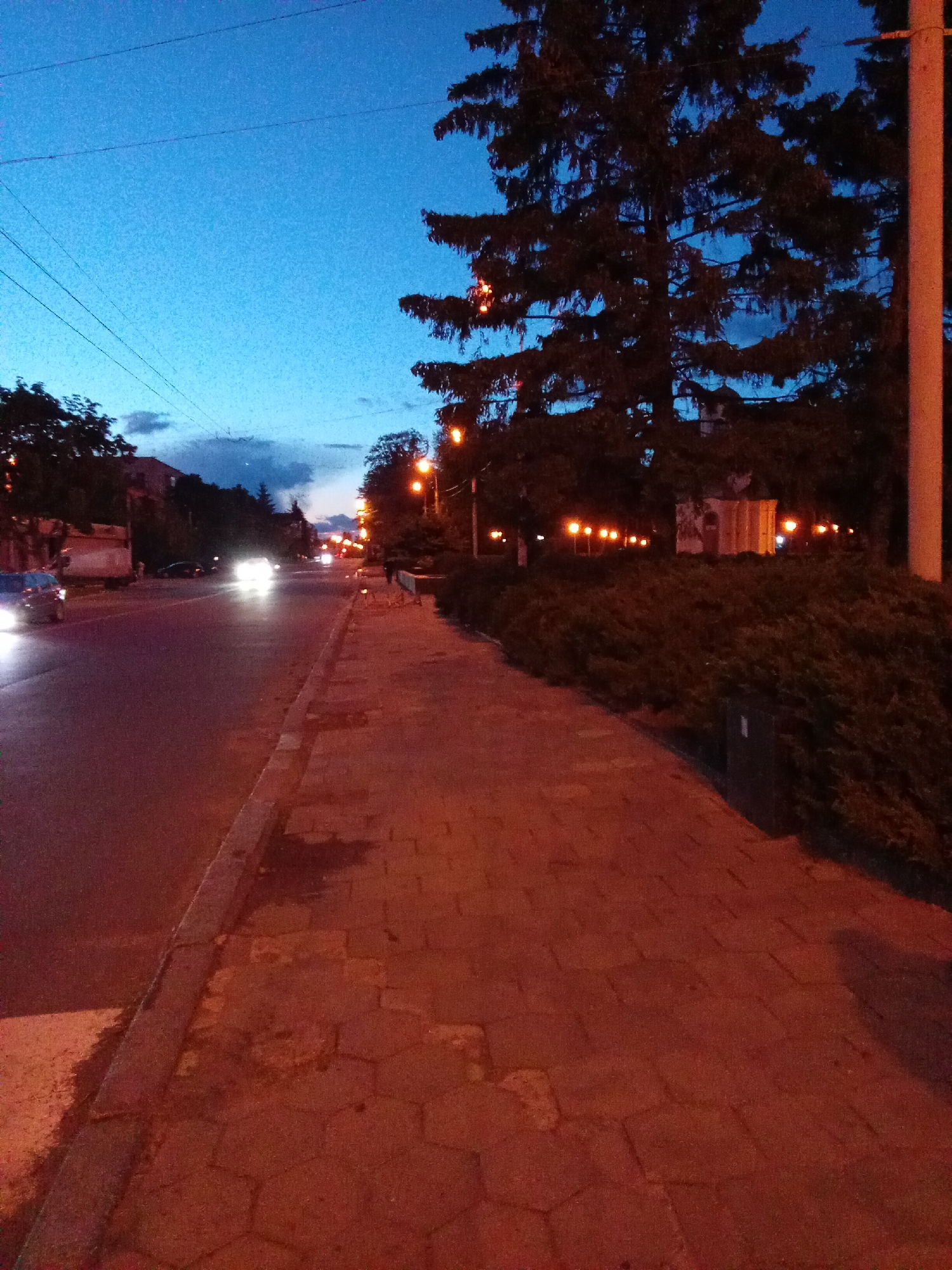 The image captures a street scene at dusk in Poltava, Ukraine. The sky transitions from blue to darkening shades. A paved pedestrian walkway, composed of reddish-brown hexagonal blocks, occupies the foreground. To the left of the walkway is an asphalt street with vehicles moving, their headlights visible. On the right side of the walkway is a dense hedge and a tall evergreen tree, possibly a fir. Behind the hedge, streetlights illuminate a monument or structure. A utility pole is visible on the right side. A trash receptacle is near the hedge. There are other cars in the street with drivers present. Pedestrians can be seen walking along the walkway. Buildings are visible in the distance.
