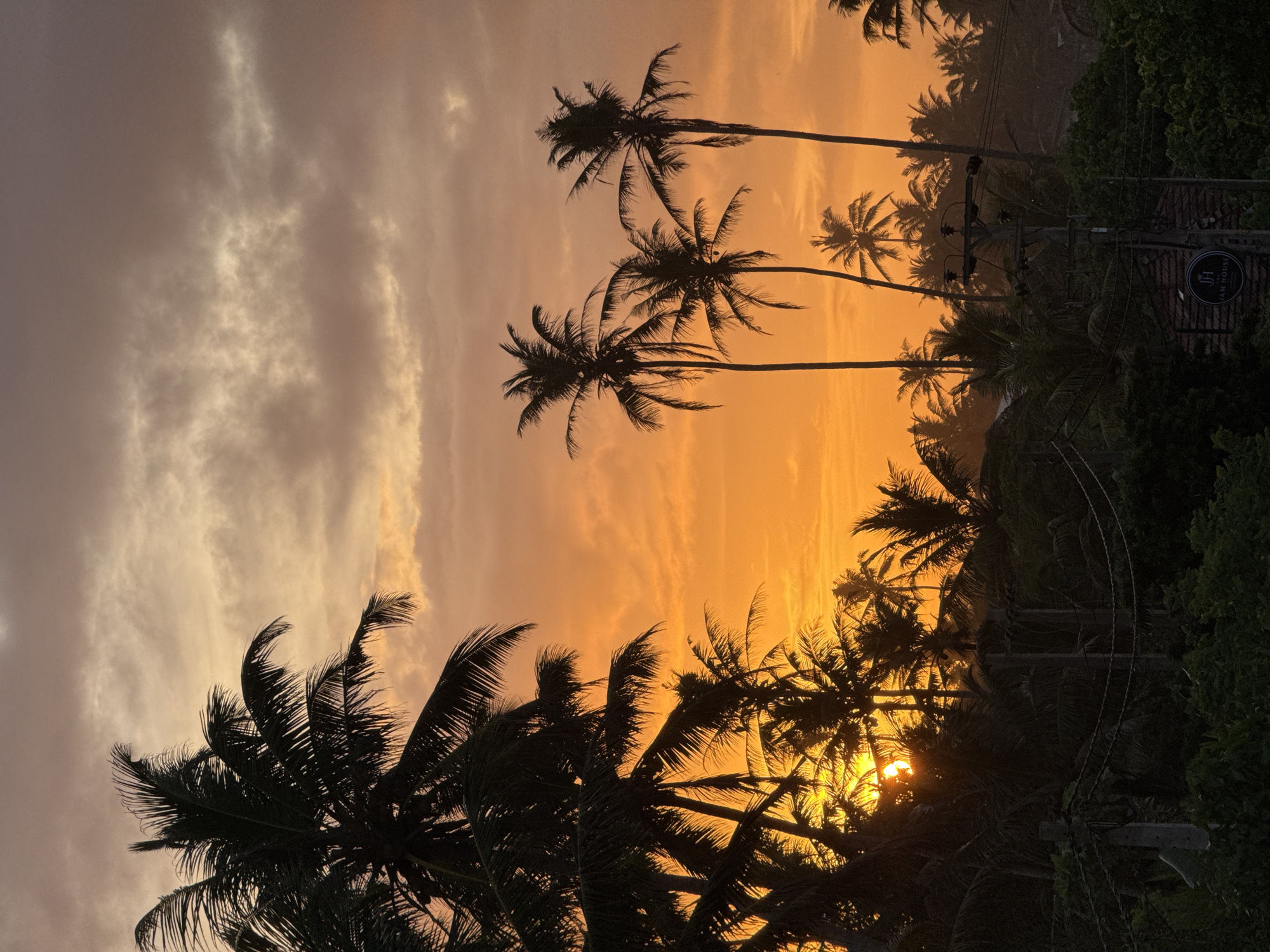 A vertical, medium shot captures a vibrant sunset over a densely forested area in Goviyapana, Sri Lanka. The sky is a gradient of fiery orange and soft pinks, with streaks of grey clouds suggesting atmospheric movement. Silhouetted against this dramatic sky are numerous palm trees, their fronds creating intricate patterns. In the foreground, the lush green foliage of smaller trees and bushes forms a dark, textured layer. Utility poles with wires are visible amidst the trees, indicating human presence and infrastructure. The sun is partially obscured by the palm trees on the left, its bright rays peeking through, illuminating parts of the scene and casting long shadows. The overall impression is one of tropical tranquility and natural beauty at dusk.