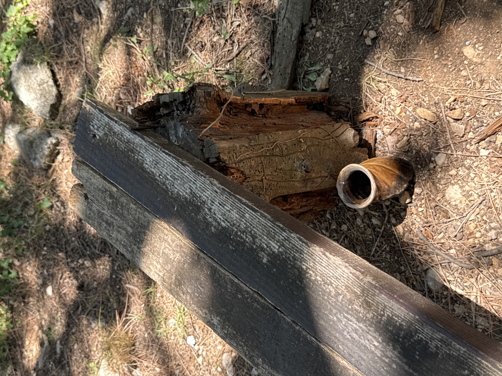 The image depicts an outdoor scene in what appears to be a wooded area, possibly near Boreti, Montenegro, given the context. A weathered, wooden bench plank rests on a decaying tree stump. In front of the stump, on the ground, sits a small, brown, ceramic vase with a narrow opening and a wider body. The ground is covered with dirt, dry leaves, pine needles, small stones, and some scattered twigs. Sunlight filters through the foliage, casting shadows on the bench and ground. The environment suggests a natural, somewhat unkempt setting. There are no people or animals visible in the image.