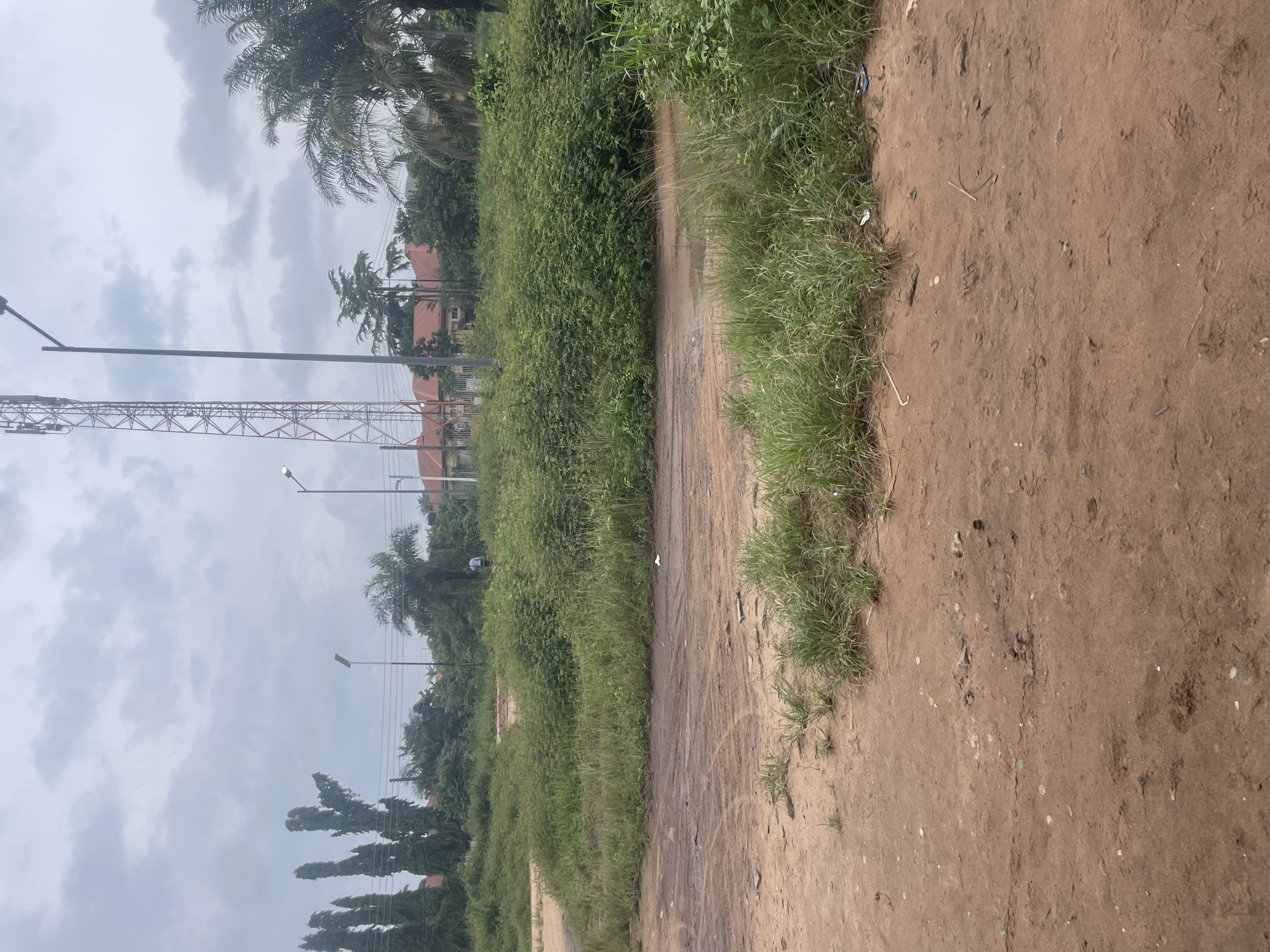 The image depicts an outdoor scene with overgrown vegetation and a dirt path in what appears to be a semi-urban area. A tall cell tower is visible in the background, along with scattered buildings that suggest a residential or commercial area. Several streetlights are also present. In the middle ground, a person wearing a light-colored shirt and dark pants is walking away from the camera, towards the right side of the frame. The ground in the foreground is a reddish-brown dirt, showing tire tracks and scattered debris. The sky is overcast, with a cloudy, grey appearance. The overall impression is one of a slightly neglected or undeveloped plot of land within a populated area.