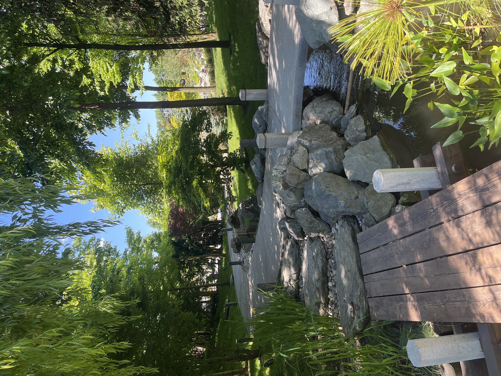 A tranquil and lush garden scene, likely a Japanese-style garden in Krasnodar, Russia, is depicted under a bright, clear blue sky. The image captures a serene outdoor setting filled with diverse greenery and meticulously placed stone features.
In the foreground and extending through the midground, a narrow stream or pond with dark, reflective water is visible. Its edges are adorned with numerous large, grey, irregularly shaped rocks, some creating a natural embankment. Various aquatic plants, including broad-leafed species (possibly water lilies) and tall, spiky green reeds resembling papyrus, flourish in and around the water.
A pathway or bridge system is prominent, featuring a flat, light grey stone section and a dark wooden plank walkway. Along the water's edge and the pathways, several light grey, hexagonal stone posts or lanterns are strategically placed, adding to the garden's aesthetic.
The background and midground are dominated by a dense canopy of trees with vibrant green foliage, ranging from lighter, almost lime green leaves to darker, deeper greens. Some trees have slender, dark trunks. Lush green grass covers the ground beneath the trees. Strong sunlight casts distinct shadows across the stone pathway and rocks, indicating a sunny day, likely midday or early afternoon.
No people are visible in the scene, and no discernible text appears on any of the objects. The overall impression is one of peaceful solitude and natural beauty, characteristic of a well-maintained park or botanical garden.
