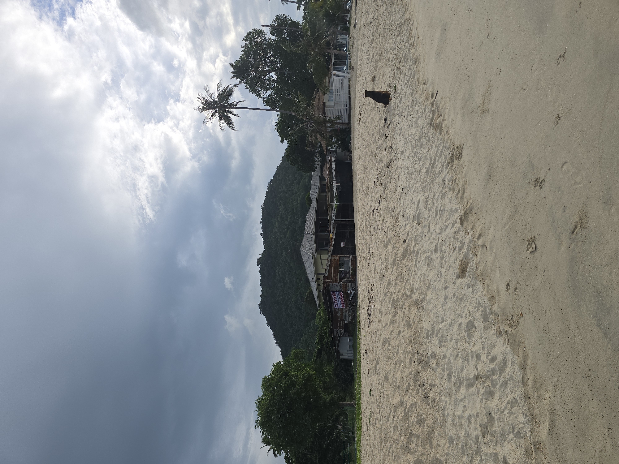 A dog sits on a sandy beach with buildings and a lush, tree-covered mountain in the background. The sky is overcast with dramatic clouds. The beach is mostly empty, with some footprints visible in the sand. The buildings appear to be a mix of resort-style accommodations and older, possibly abandoned structures. A sign is visible on one of the buildings, but the text is not legible. The overall atmosphere is tranquil and somewhat moody due to the weather.