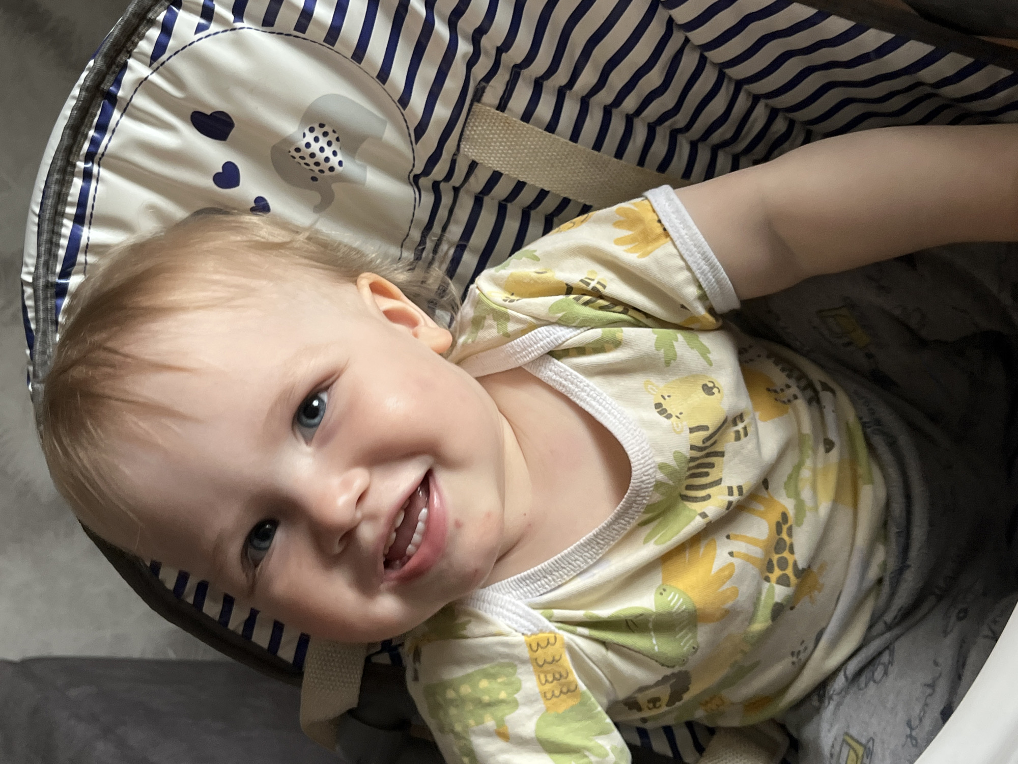 A baby with light skin and blue eyes is lying in a baby bouncer. The baby is smiling and wearing a patterned onesie with zoo animal designs. The bouncer has a striped blue and white interior lining and a light-colored headrest with a gray elephant and blue hearts. The location is unknown and cannot be determined from the image.