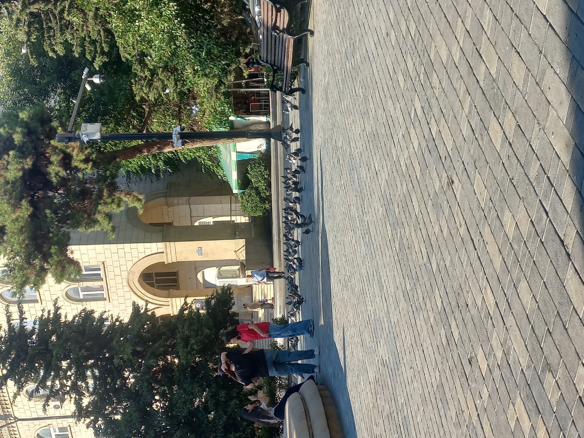 The image depicts an outdoor scene in Baku, Azerbaijan, likely in a public square or park, with a focus on a paved area populated by numerous pigeons. In the background, a large, light-colored building with arched windows and decorative stonework is visible, partially obscured by mature trees with lush green foliage. To the right of the building, a green and white striped awning covers an outdoor seating area, suggesting a cafe or restaurant. A dark-colored car is parked near the awning.
In the foreground, a group of people are present. Three individuals, appearing to be young women, are gathered on the left side of the frame. One is seated on a low, curved, light-colored structure, possibly a bench or planter, and is looking towards another person who is holding a phone. Two other young women stand nearby, one in a black t-shirt and jeans, and the other in a red t-shirt and jeans, both facing each other. Further in the background, to the right of these individuals, a man in a striped blue and white shirt and dark pants walks away from the camera. Another person is seen standing on steps leading up to the building.
The ground is paved with rectangular grey bricks laid in a repeating pattern. A large, dark-colored wooden bench with metal legs is situated on the right side of the frame, facing the paved area and the gathering of pigeons. A significant number of pigeons are scattered across the paved area, some pecking at the ground, others in mid-flight or walking. A lamppost with security cameras attached is visible among the trees in the mid-ground. The overall lighting suggests a sunny day, with clear shadows cast on the pavement.