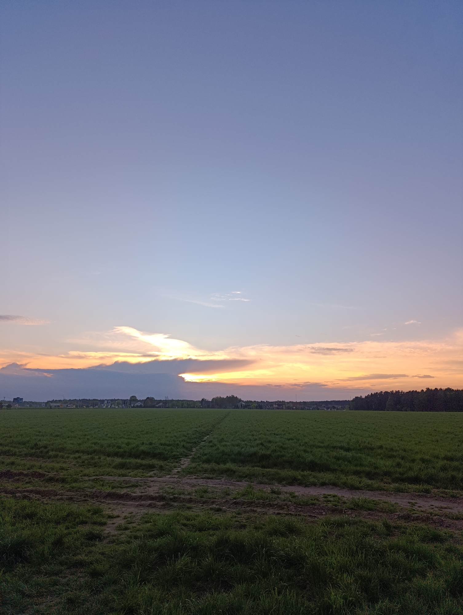 The image presents a landscape view likely taken in the Chernogolovka area of Russia, based on its geographical characteristics. The foreground features a grassy field, potentially cultivated or natural meadow, with a visible dirt track or path running through it. The vegetation appears lush and green, suggesting recent rainfall or a favorable growing season.
In the midground, the field extends towards the horizon, where a line of trees is visible, indicating a forest or wooded area. Buildings and infrastructure, likely representing a portion of Chernogolovka, are also discernible in the distance.
The sky dominates the upper portion of the image. The sky exhibits a color gradient from blue at the top to shades of orange and pink near the horizon. A cloud formation obscures part of the sunset, allowing only partial light to peak through the clouds. This suggests the time of day is likely dusk or dawn.
There are no people or animals evident in the scene. The overall impression is a serene rural landscape typical of the outskirts of Chernogolovka.