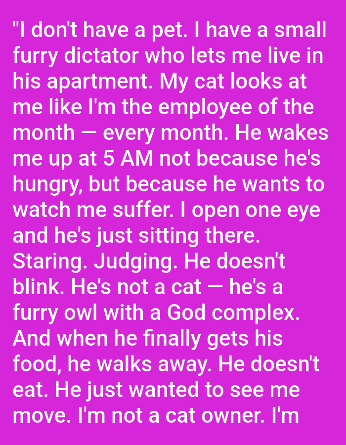 The image contains text on a bright purple background. The text reads: "I don't have a pet. I have a small furry dictator who lets me live in his apartment. My cat looks at me like I'm the employee of the month - every month. He wakes me up at 5 AM not because he's hungry, but because he wants to watch me suffer. I open one eye and he's just sitting there. Staring. Judging. He doesn't blink. He's not a cat - he's a furry owl with a God complex. And when he finally gets his food, he walks away. He doesn't eat. He just wanted to see me move. I'm not a cat owner. I'm" There is no information about the city of Kępno, Poland, or any specific environmental details, people, subjects, objects, or actions depicted.