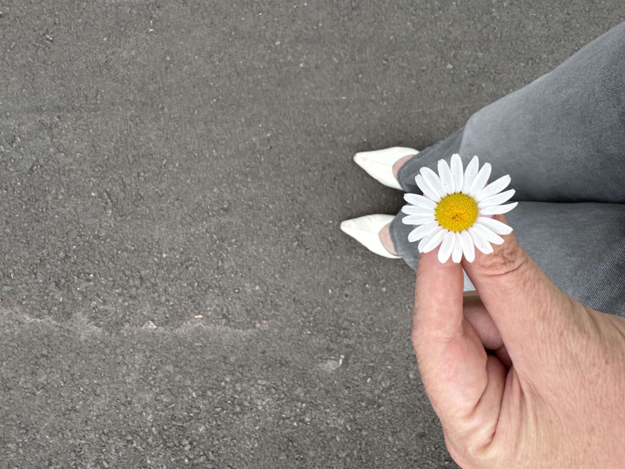 The image shows a person holding a daisy with a white hand in the foreground. The person is wearing grey pants and white shoes. The background is a grey asphalt surface. The location is unspecified in the image.